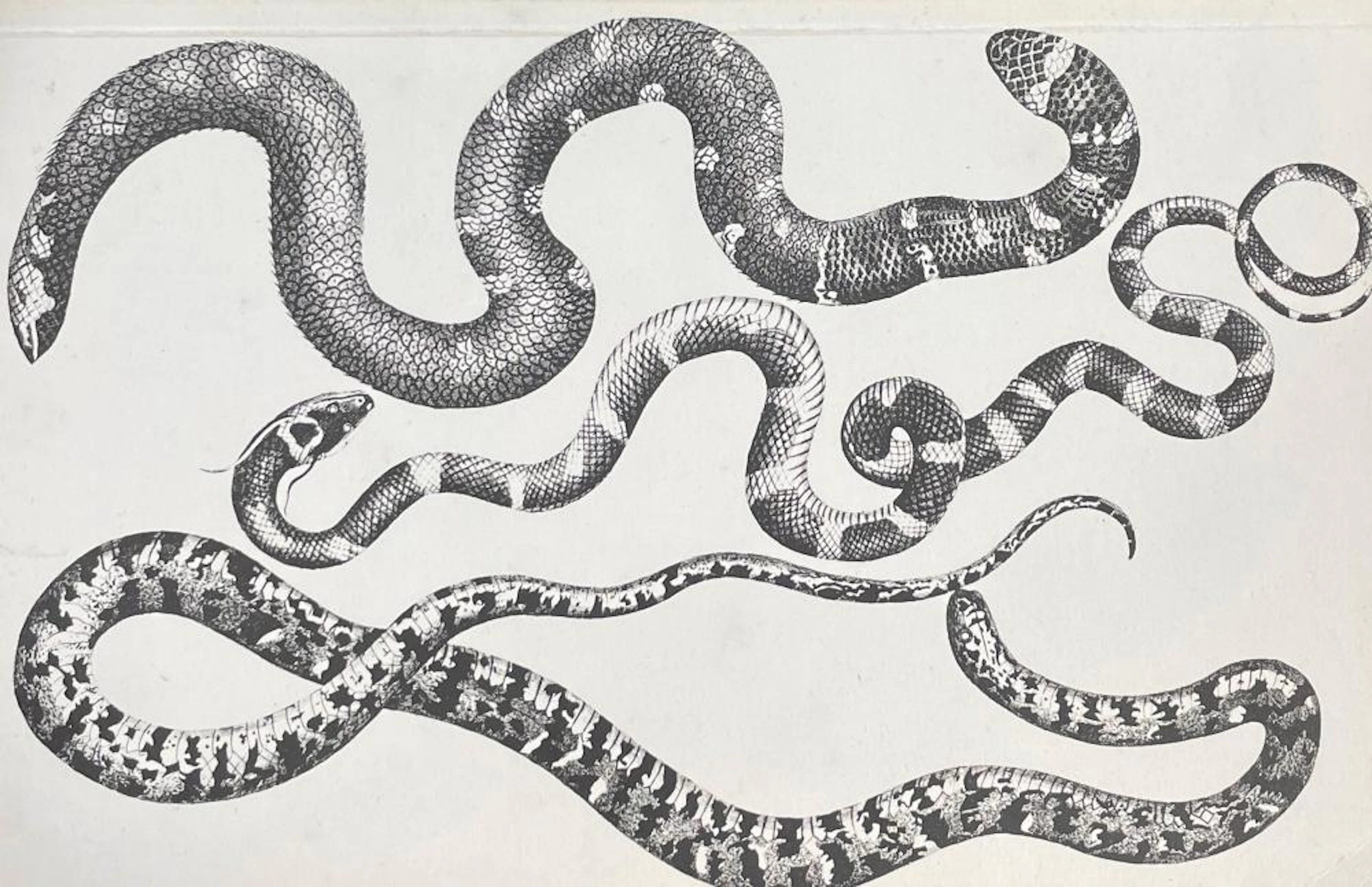 LÜTHI, Urs (1947).