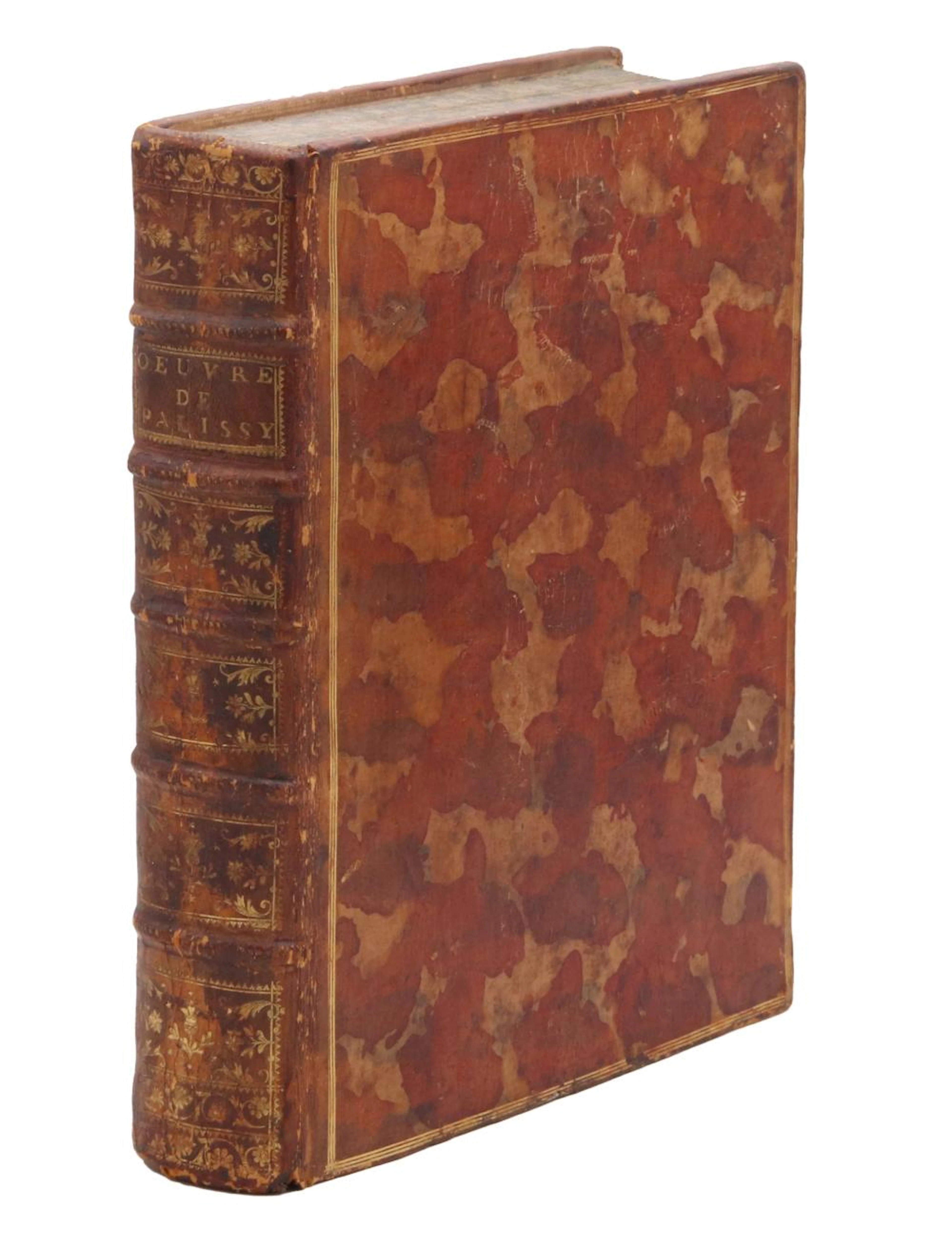 PALISSY (Bernard).
