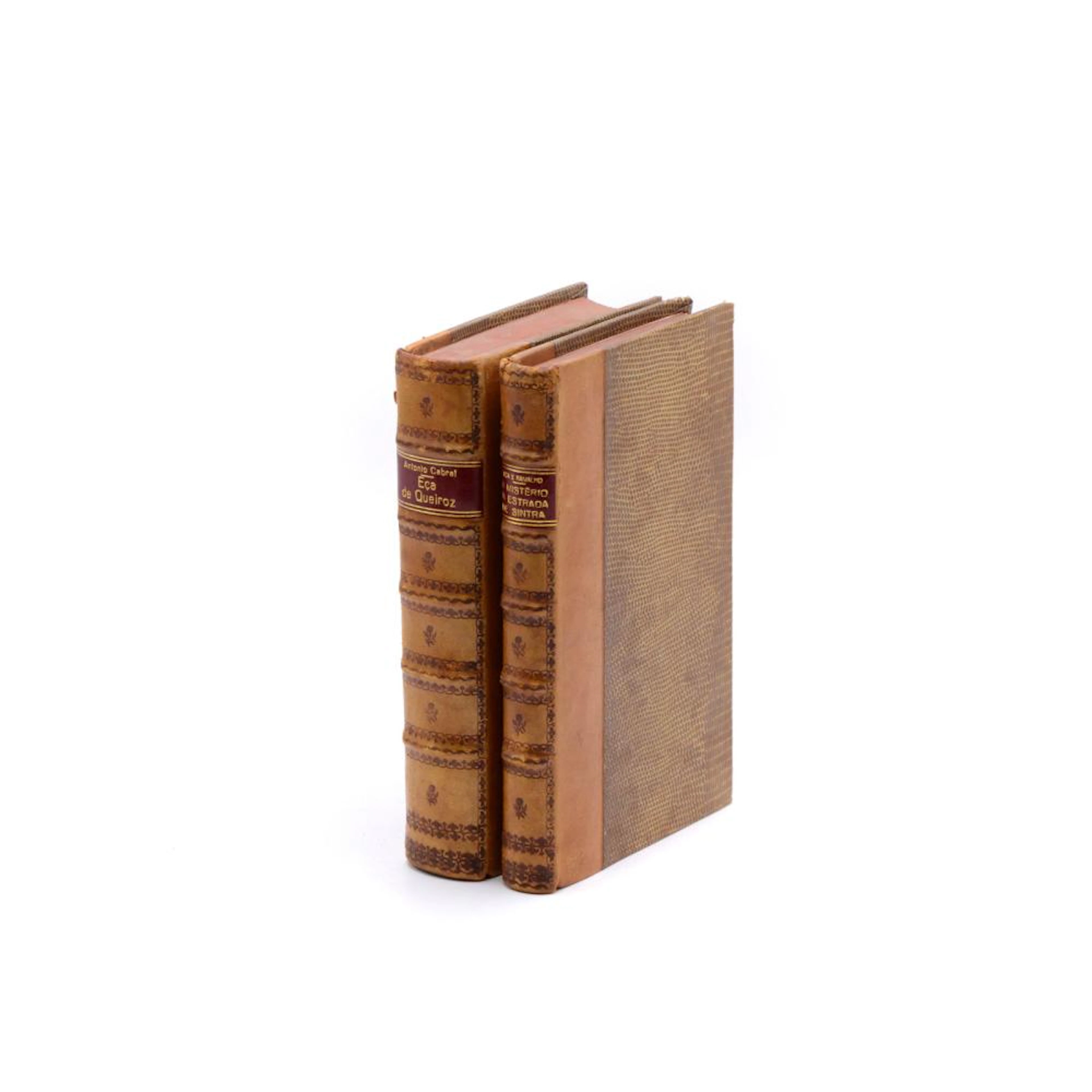 Queirosiana. 2 vols. encs. uniformes.