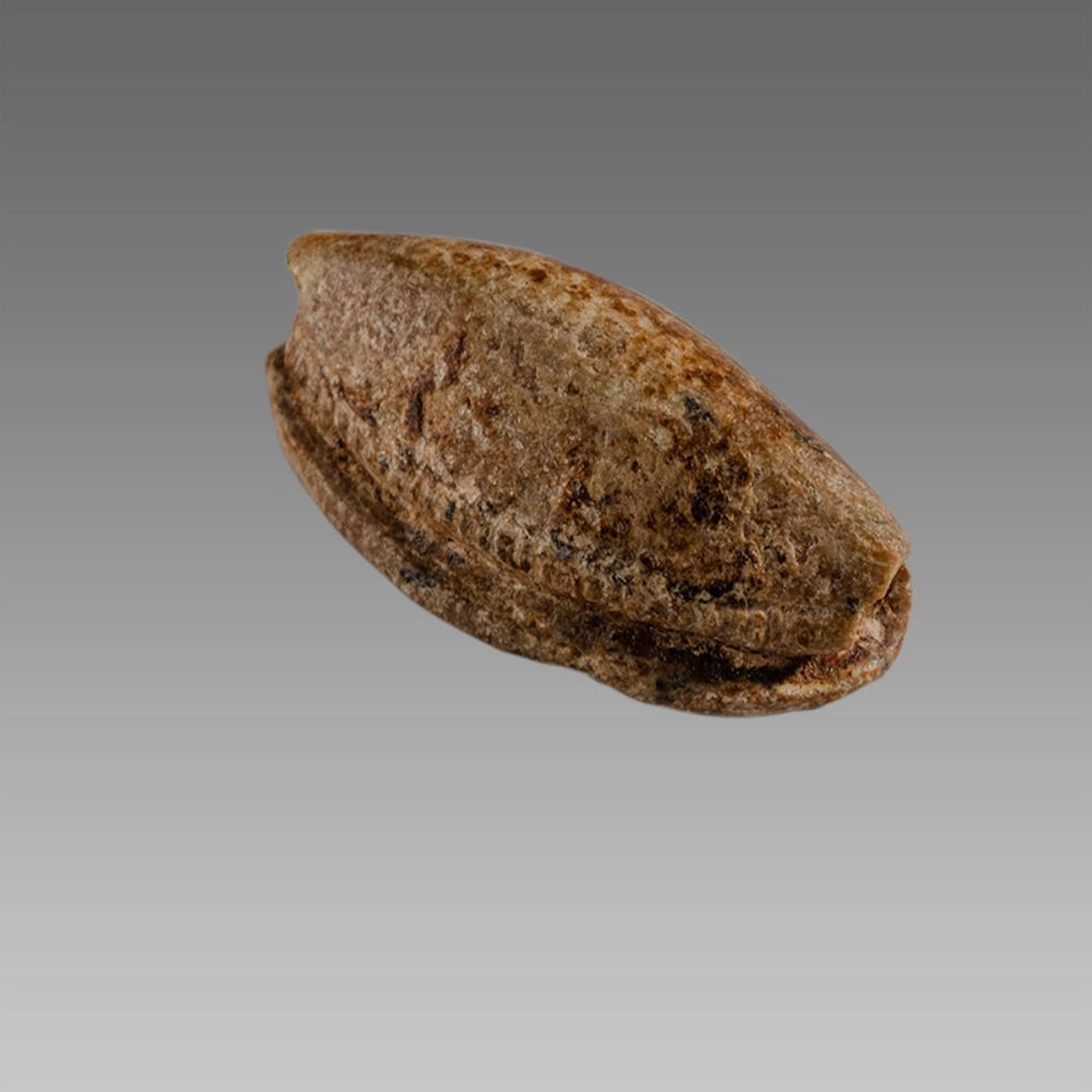Ancient Egyptian Steatite stone Scarab c.1500-1100 BCE.