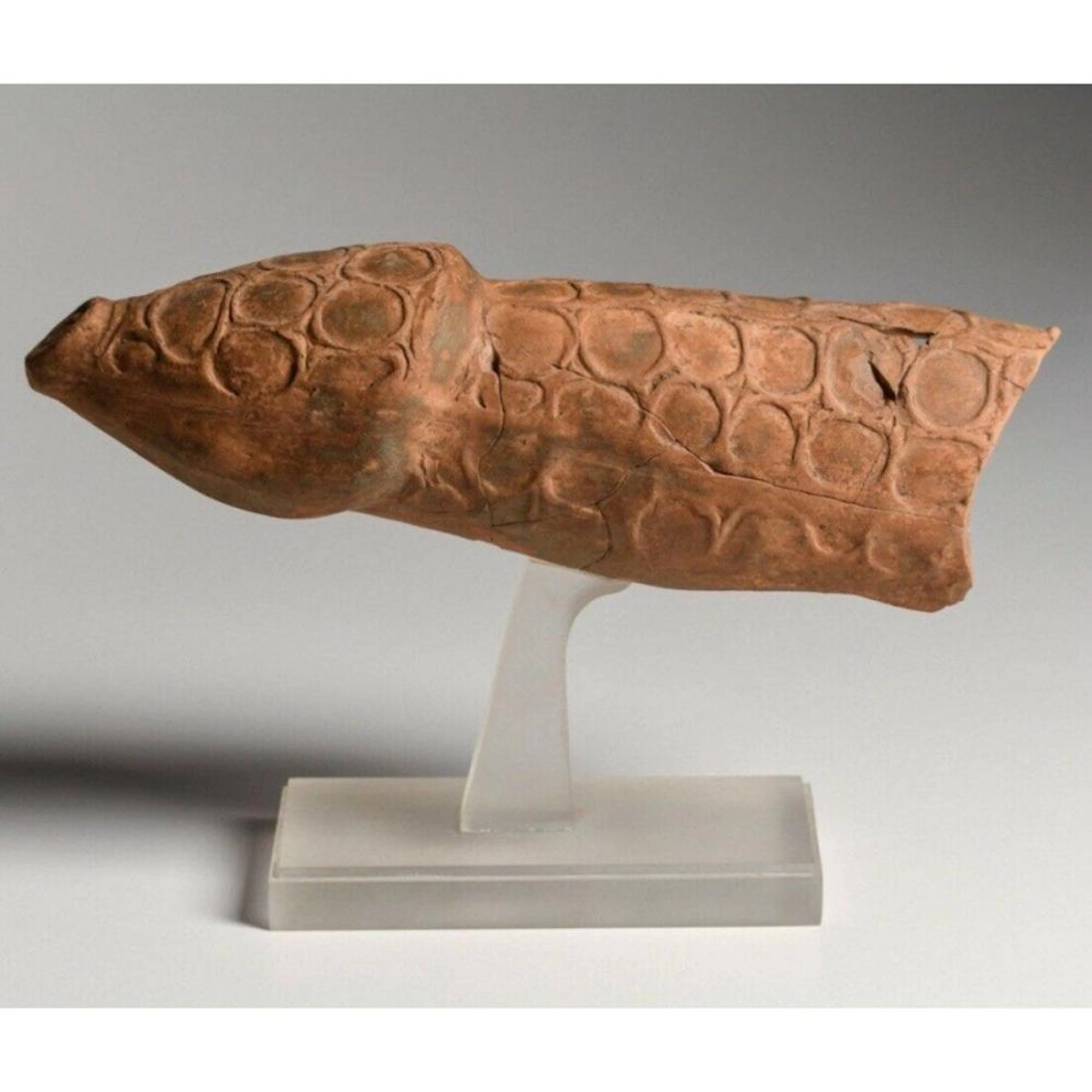Ancient Etruscan Terracotta Large Phallus c.7th-5th Century BC.