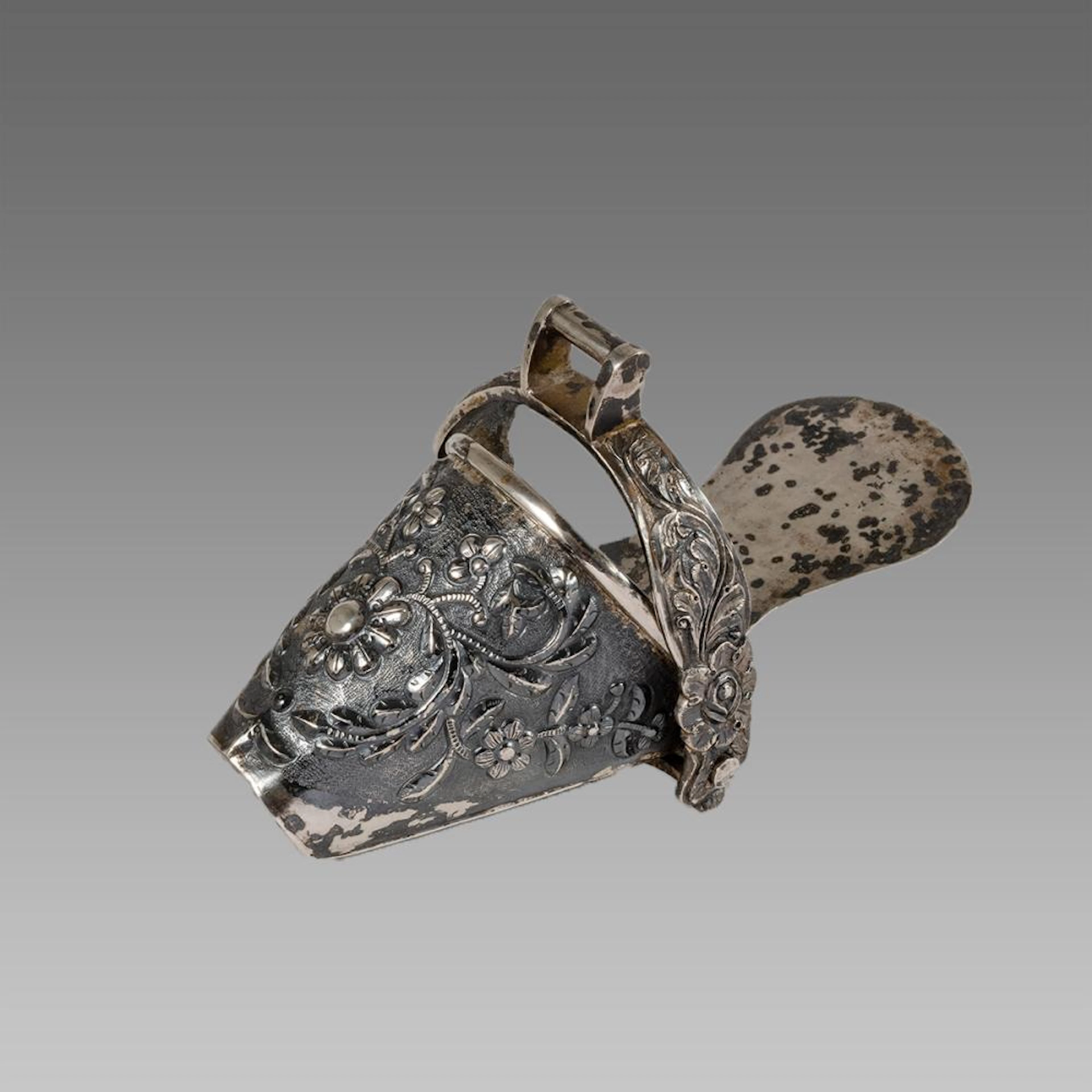 South American Silver Stirrup.