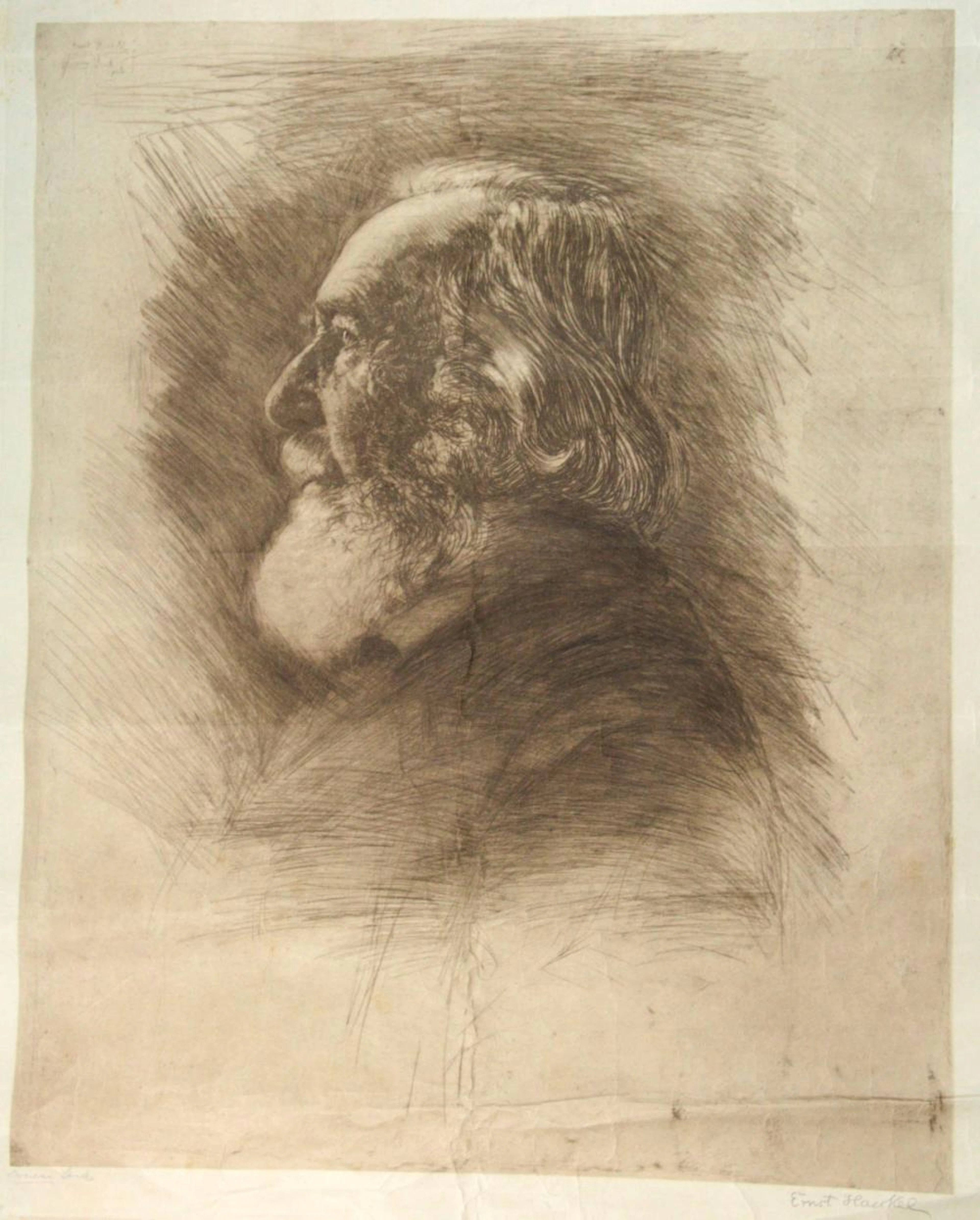 Hermann Struck (1876-1944) - Professor Ernst Haeckel, Large Etching.