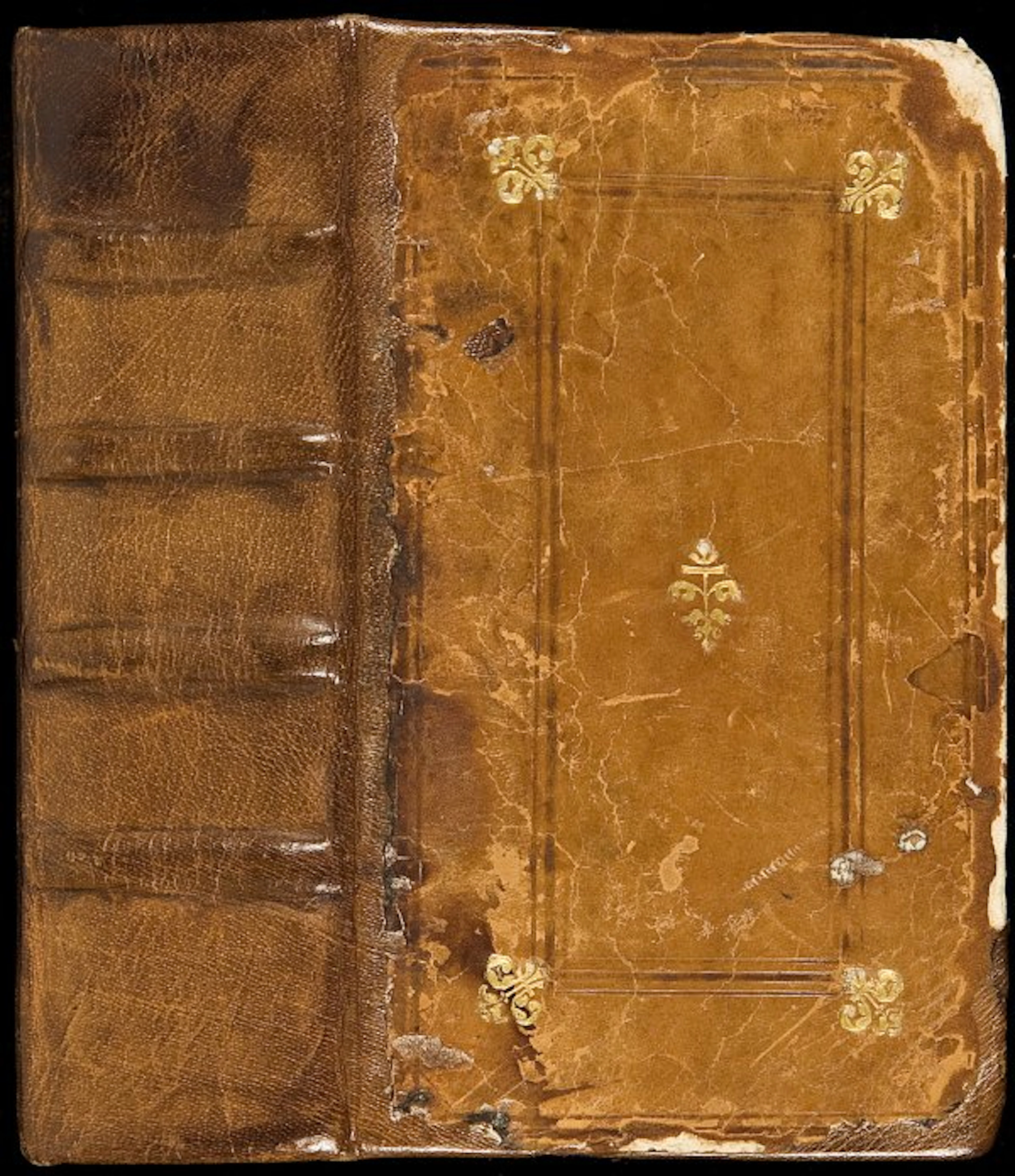 34: 1561 edition of Petrus Crinitus