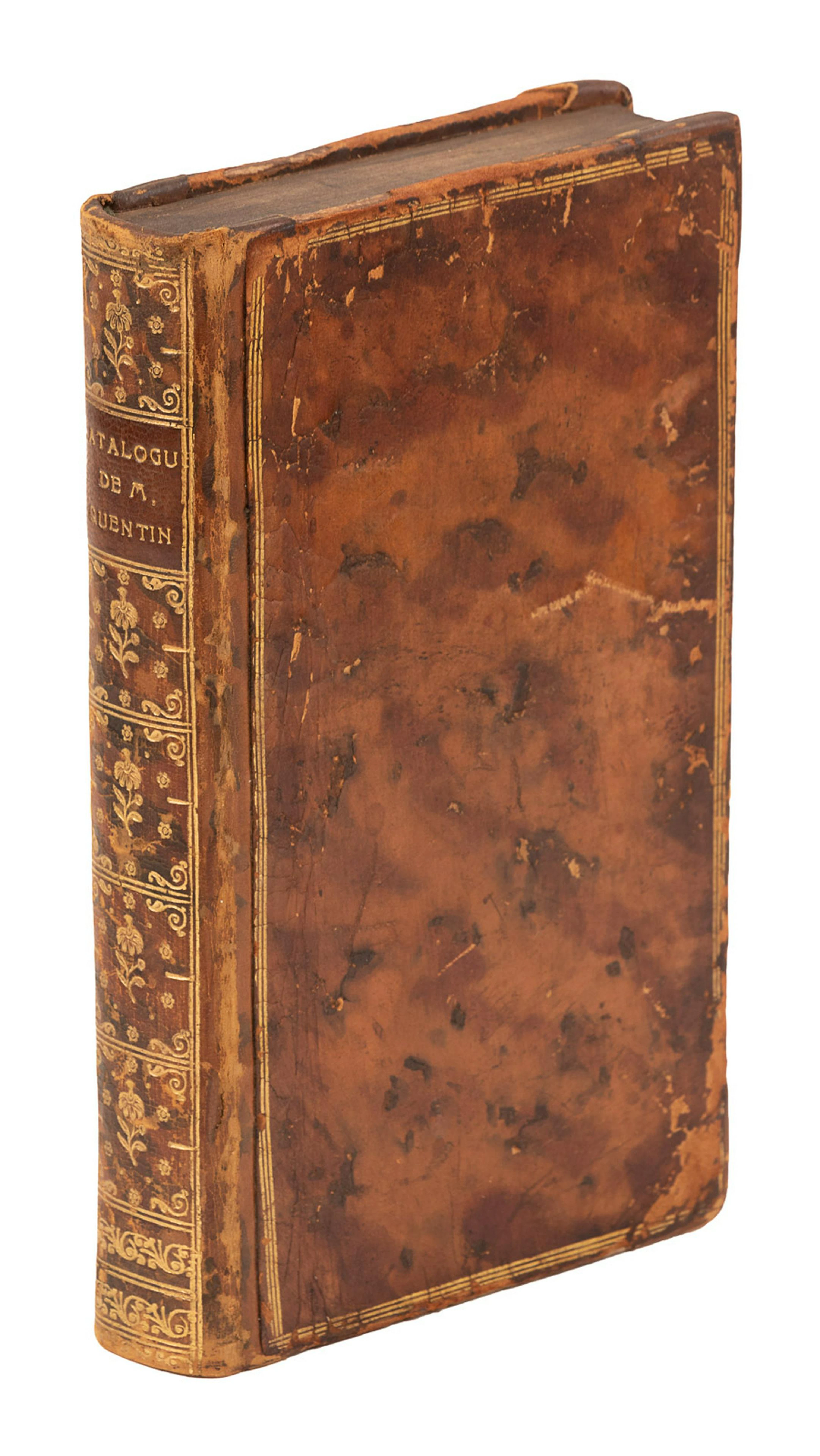 Cabinet of Curiosities of M. Quentin de Lorangère