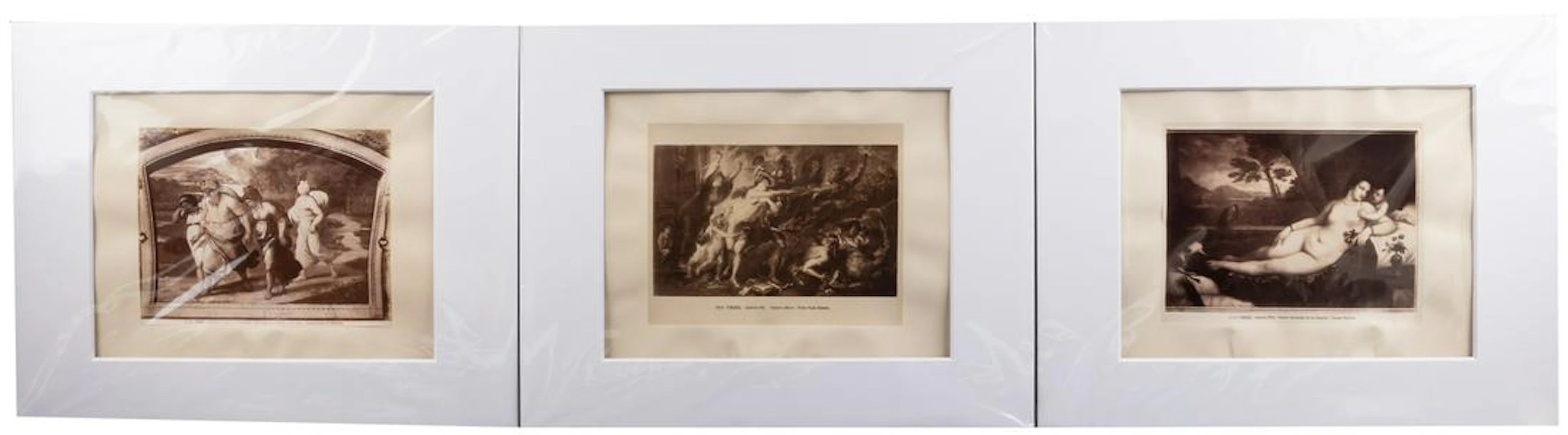 Twenty-three mounted photographs, Fratelli Alinari