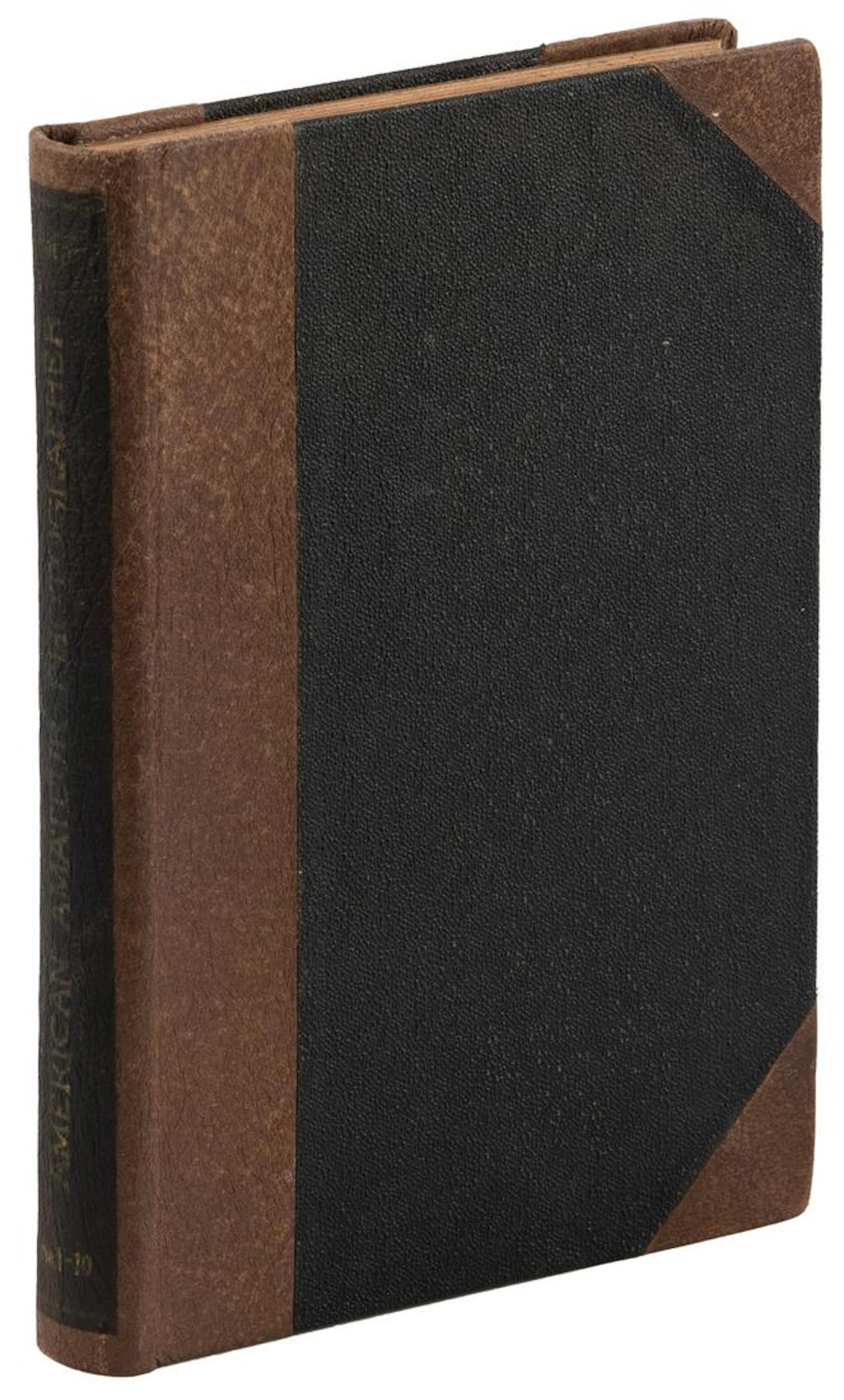 The American Amateur Photographer, 1894
