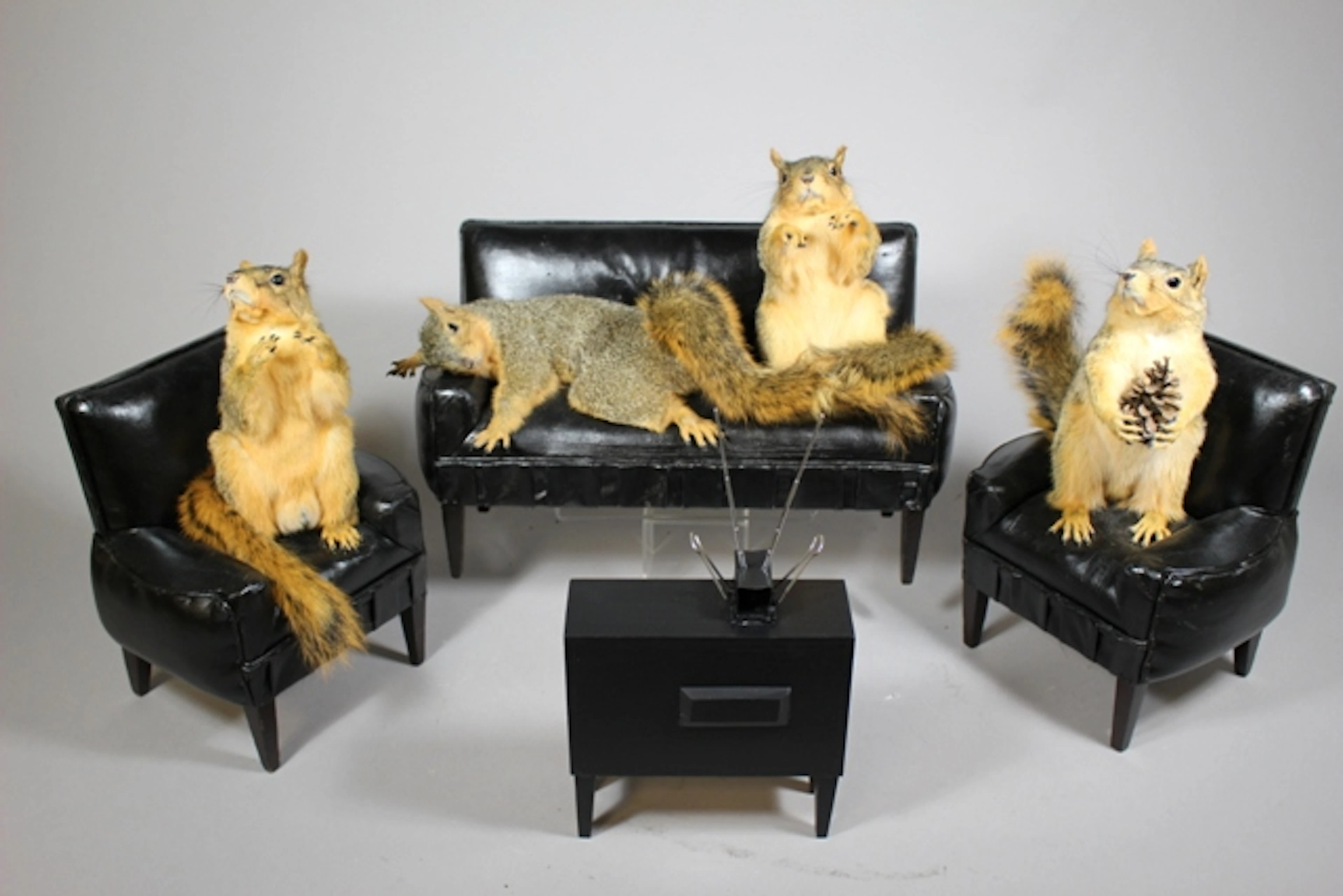 In the Manner of Walter Potter Taxidermy Squirrels