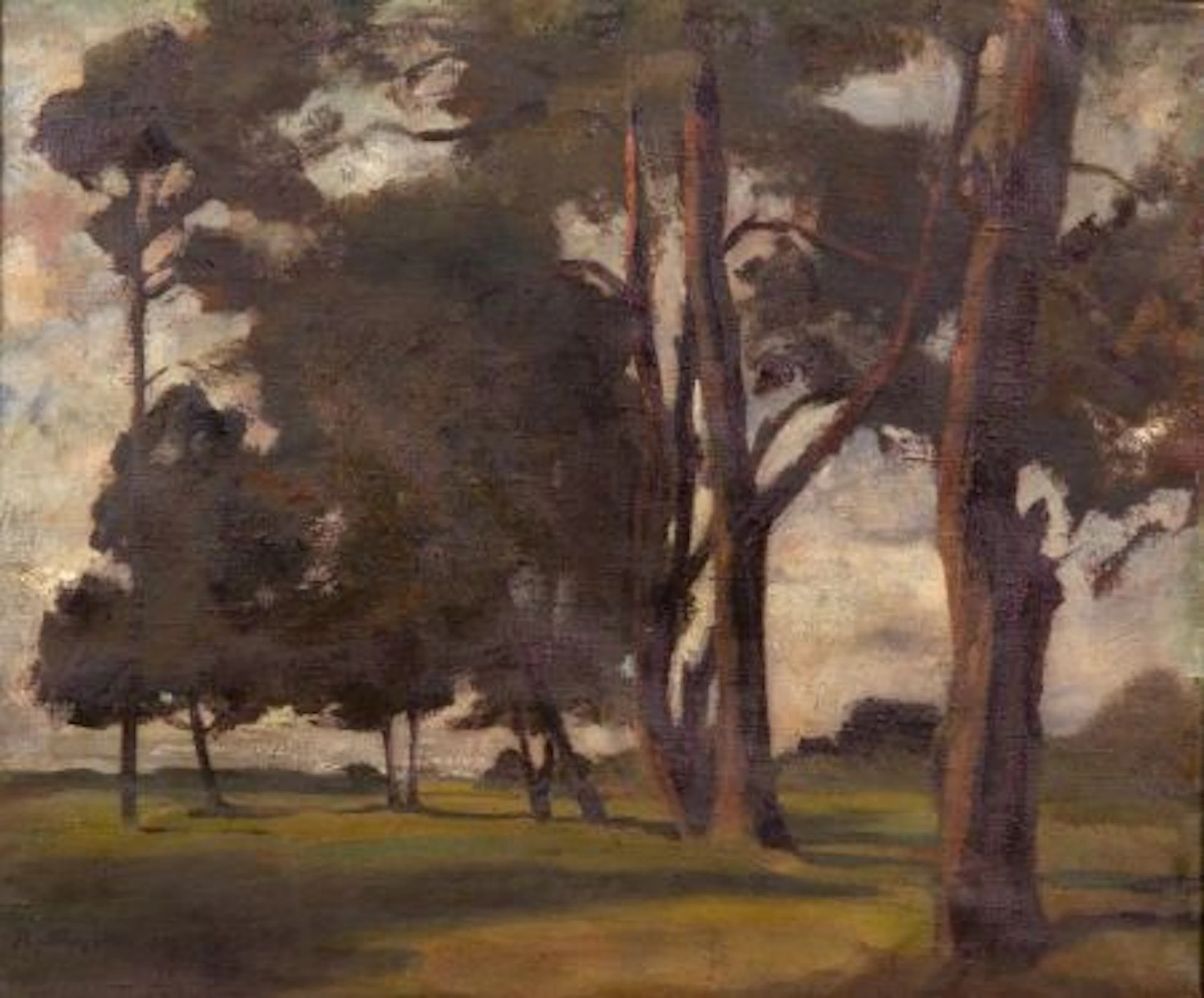 A Quiet Stand of Trees