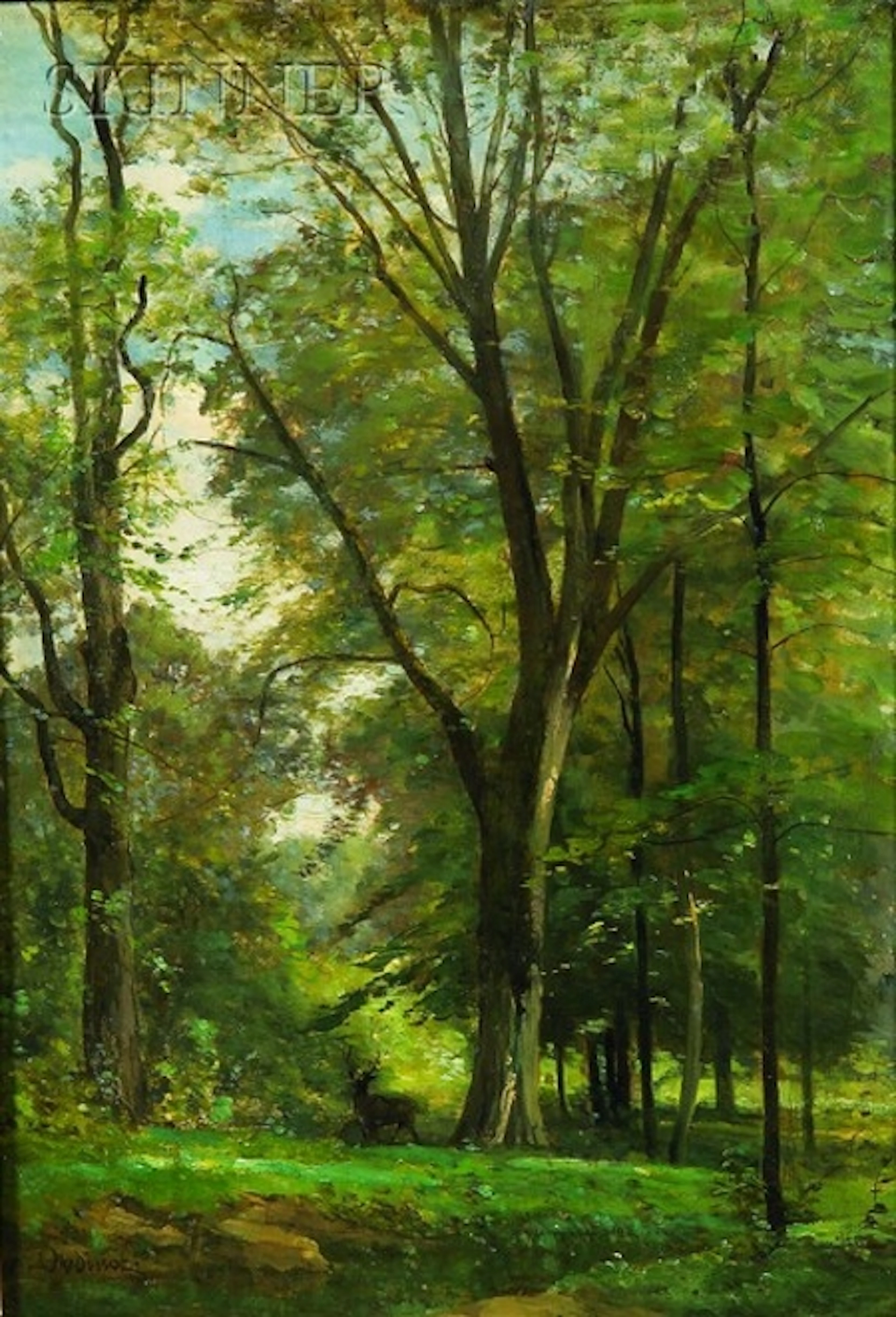 Woodland View