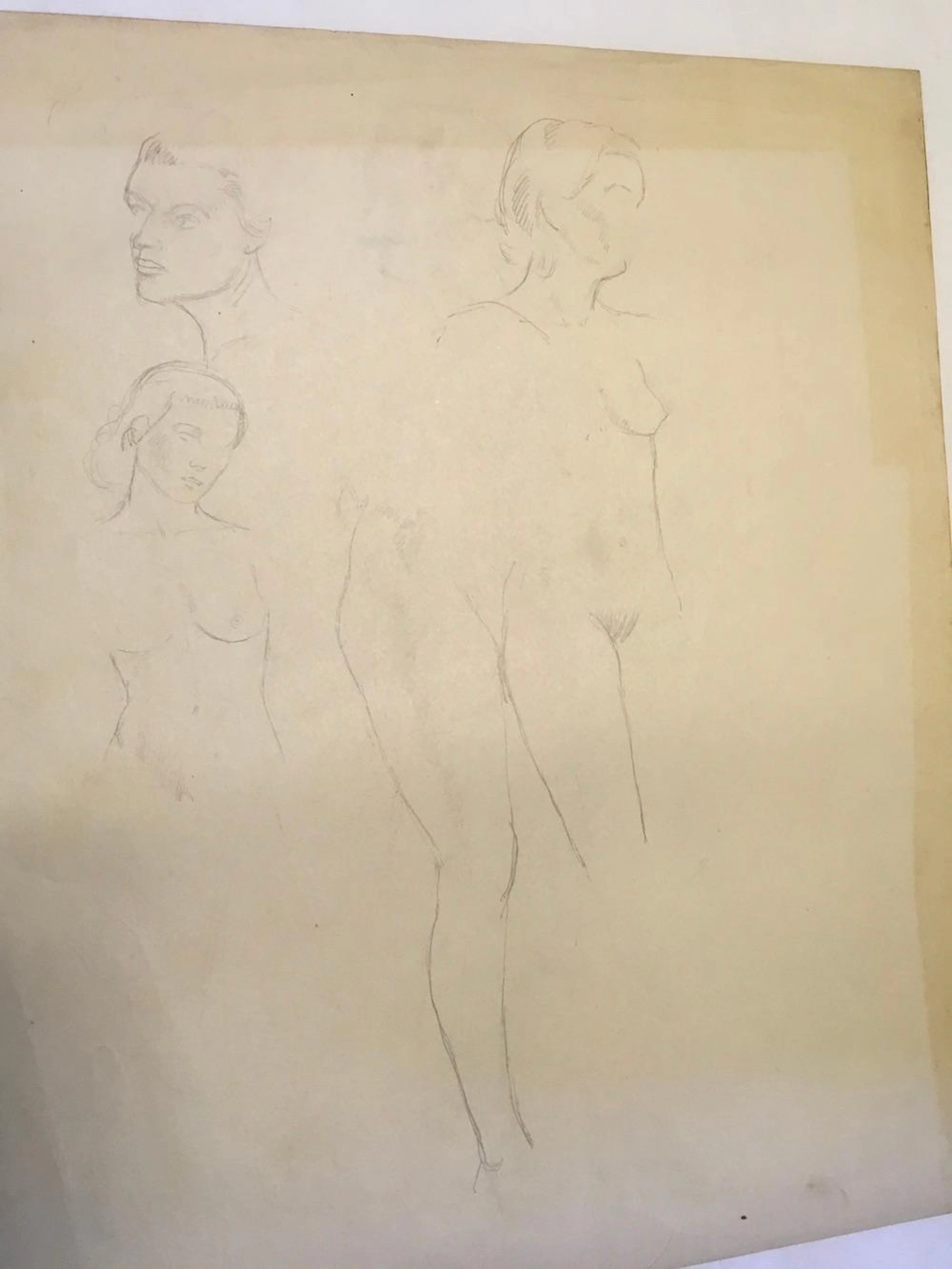 William Baziotes Drawing - Female Nudes