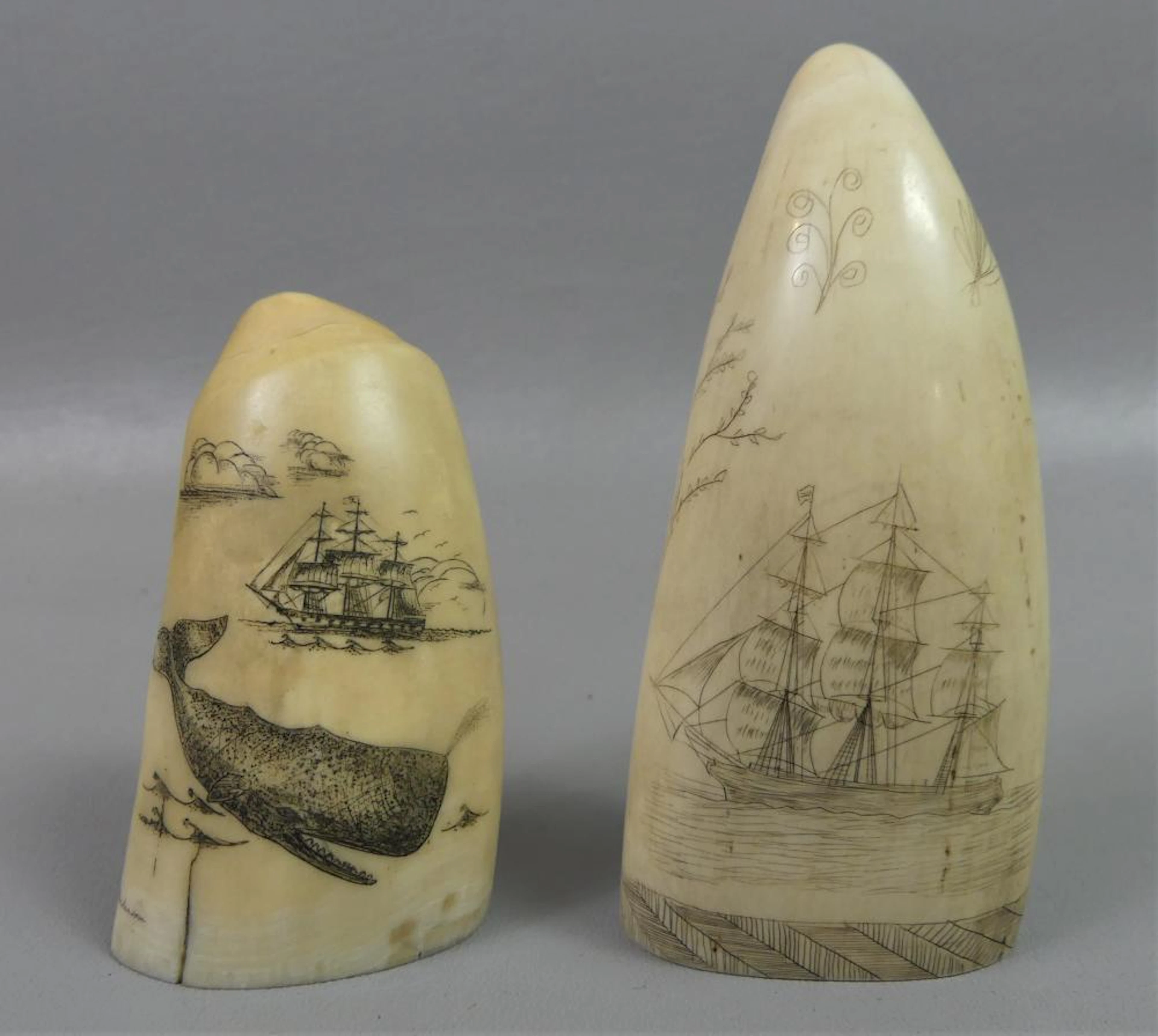 2 SCRIMSHAW WHALE TEETH