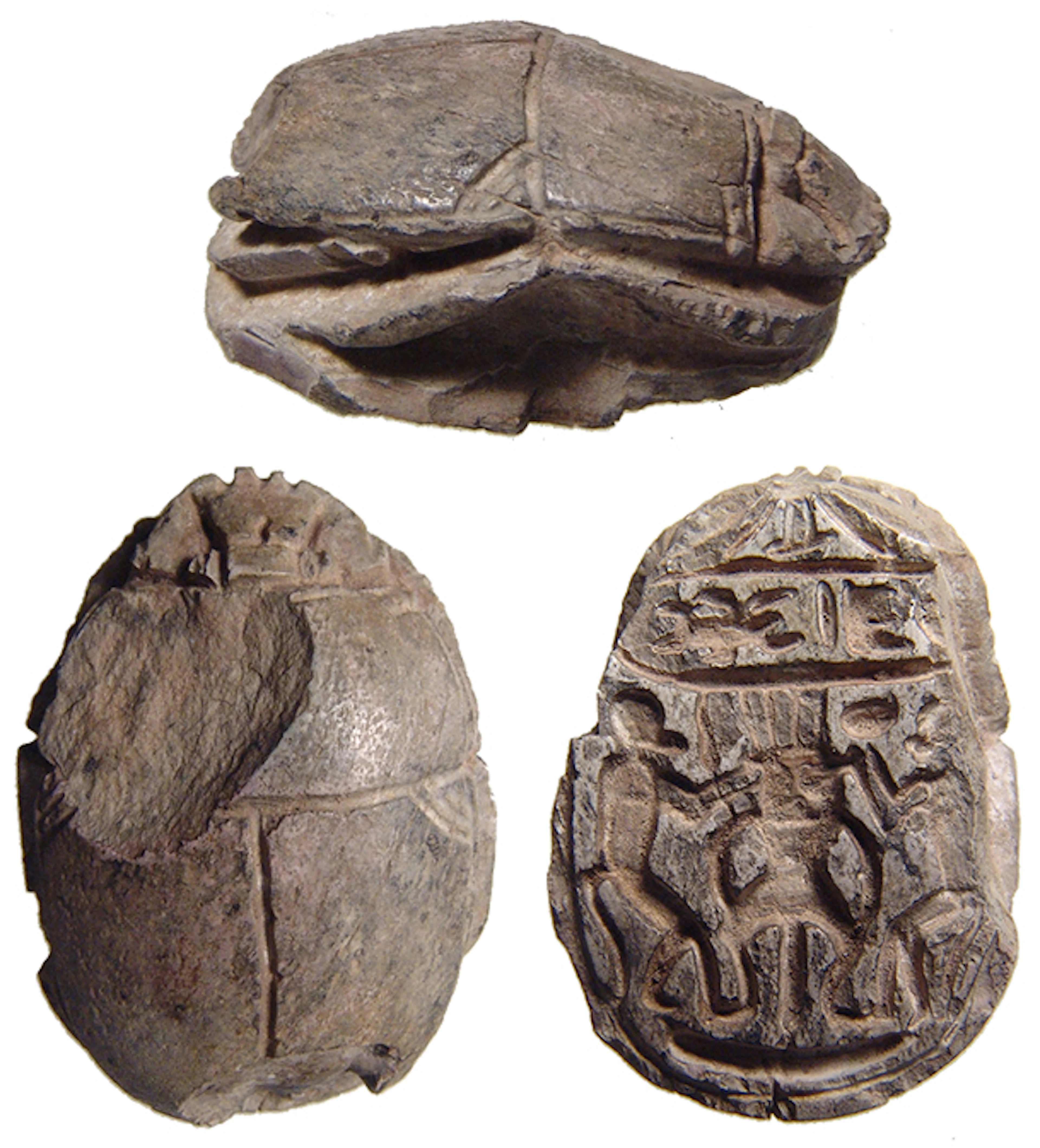 Egyptian steatite scarab, cartouche of Thutmose III
