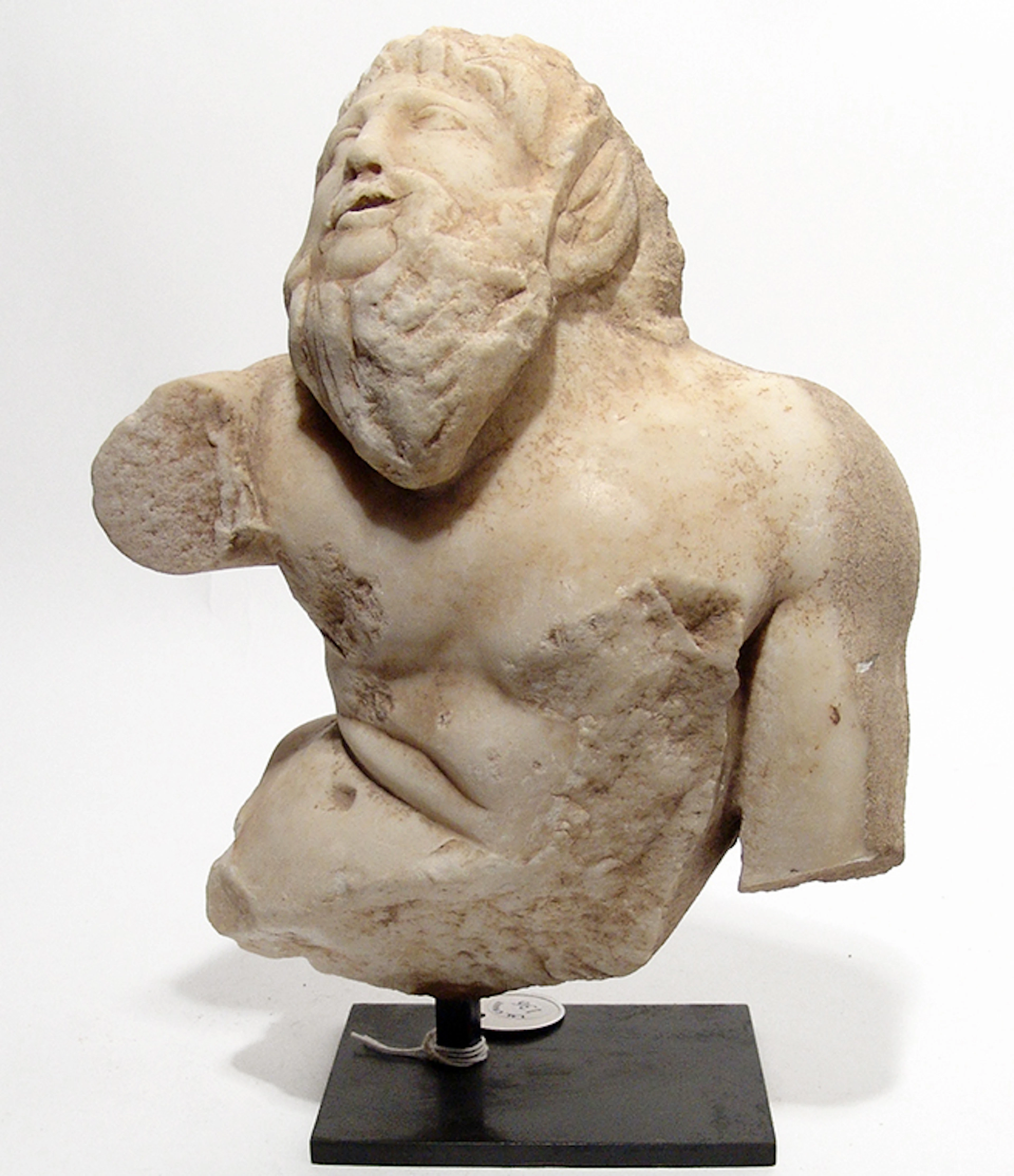 A gorgeous Roman marble bust of a muscular satyr