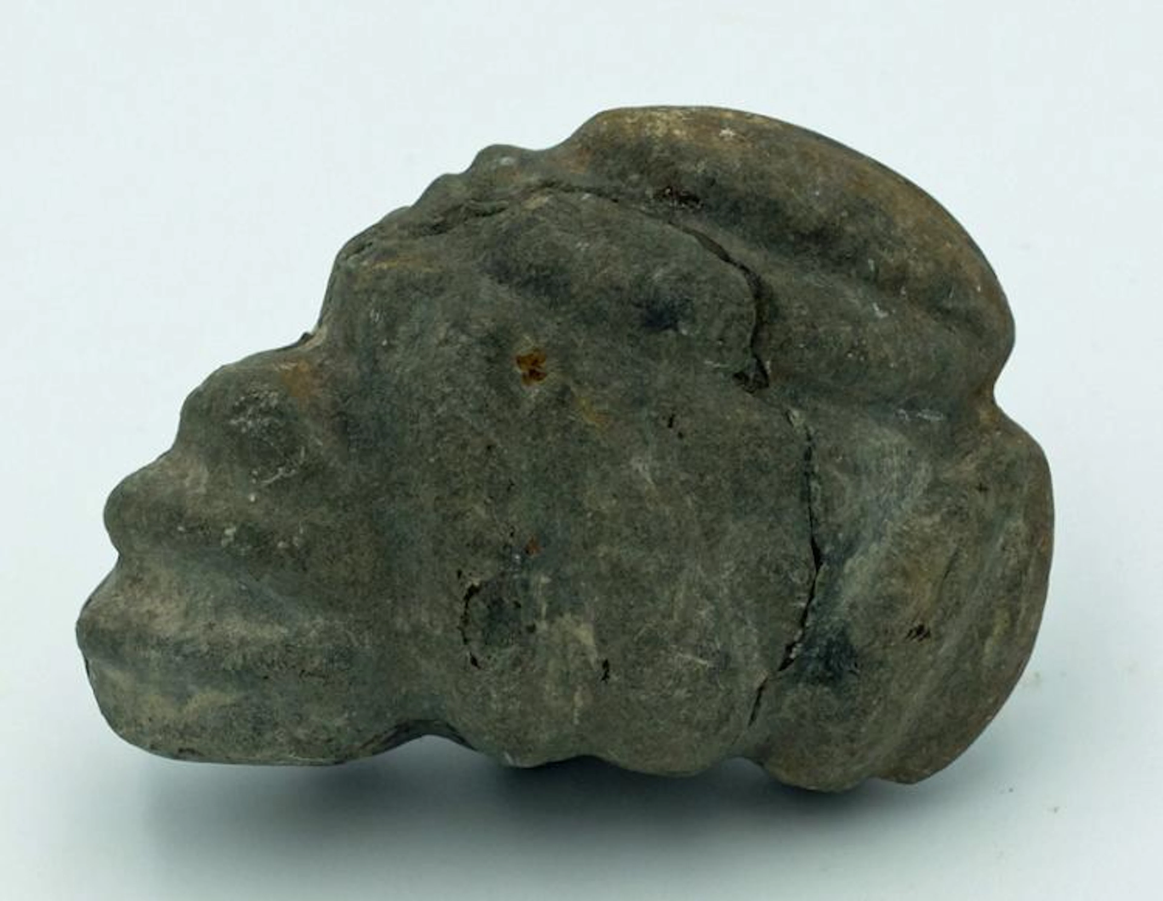An unusual Maya stone amulet from Belize