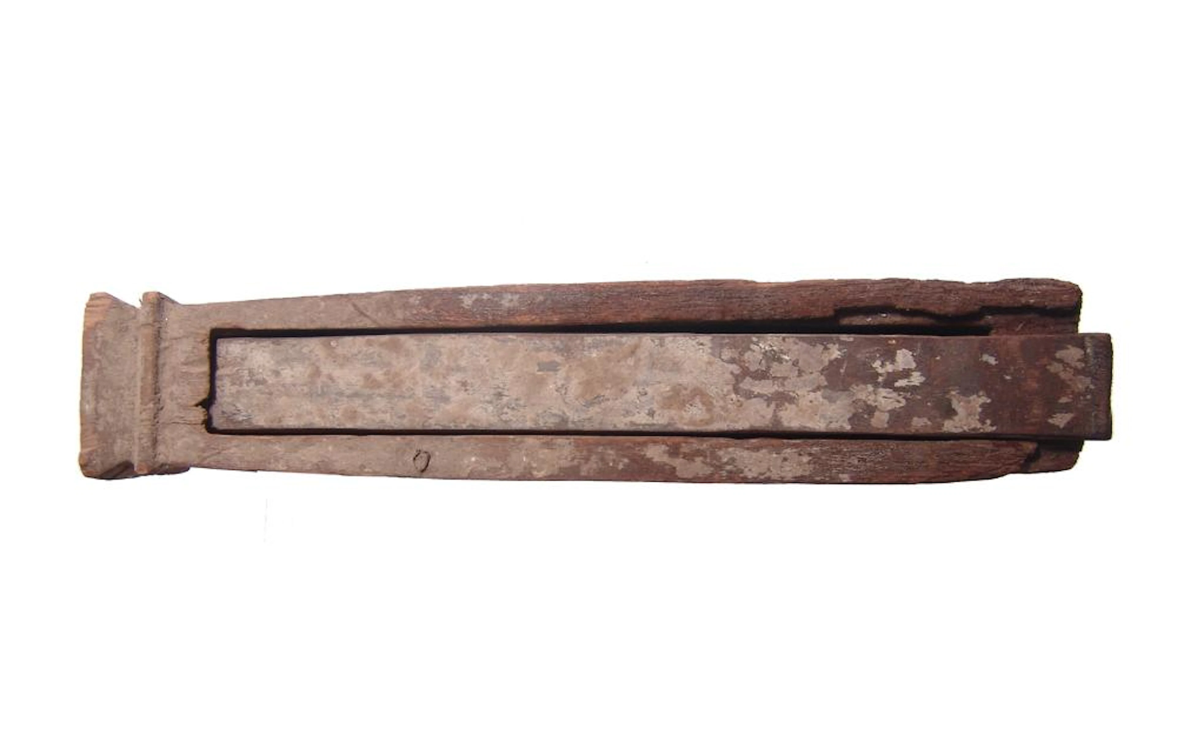 An Egyptian wooden animal sarcophagus