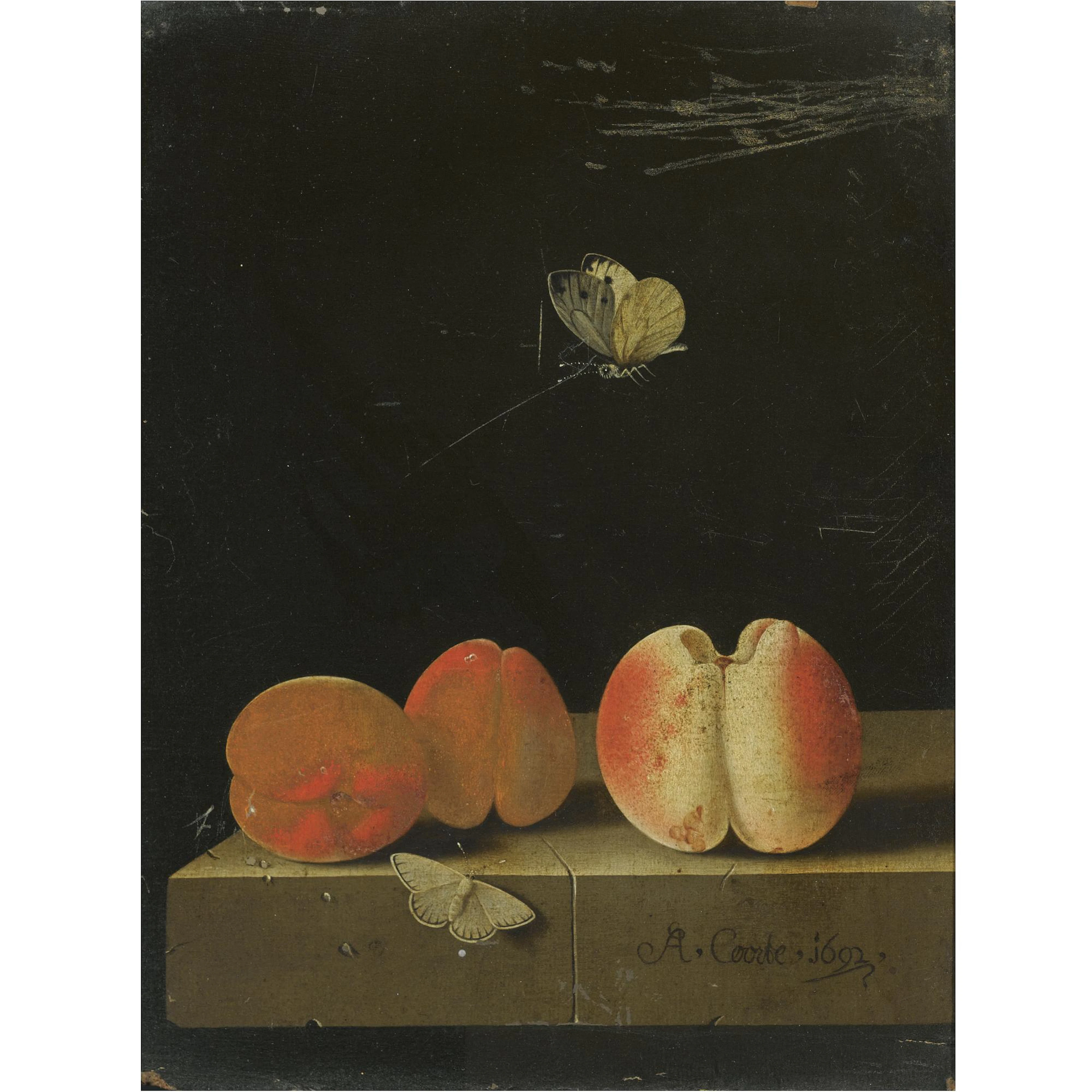 Still life with a peach and two apricots on a stone ledge, together with two butterflies