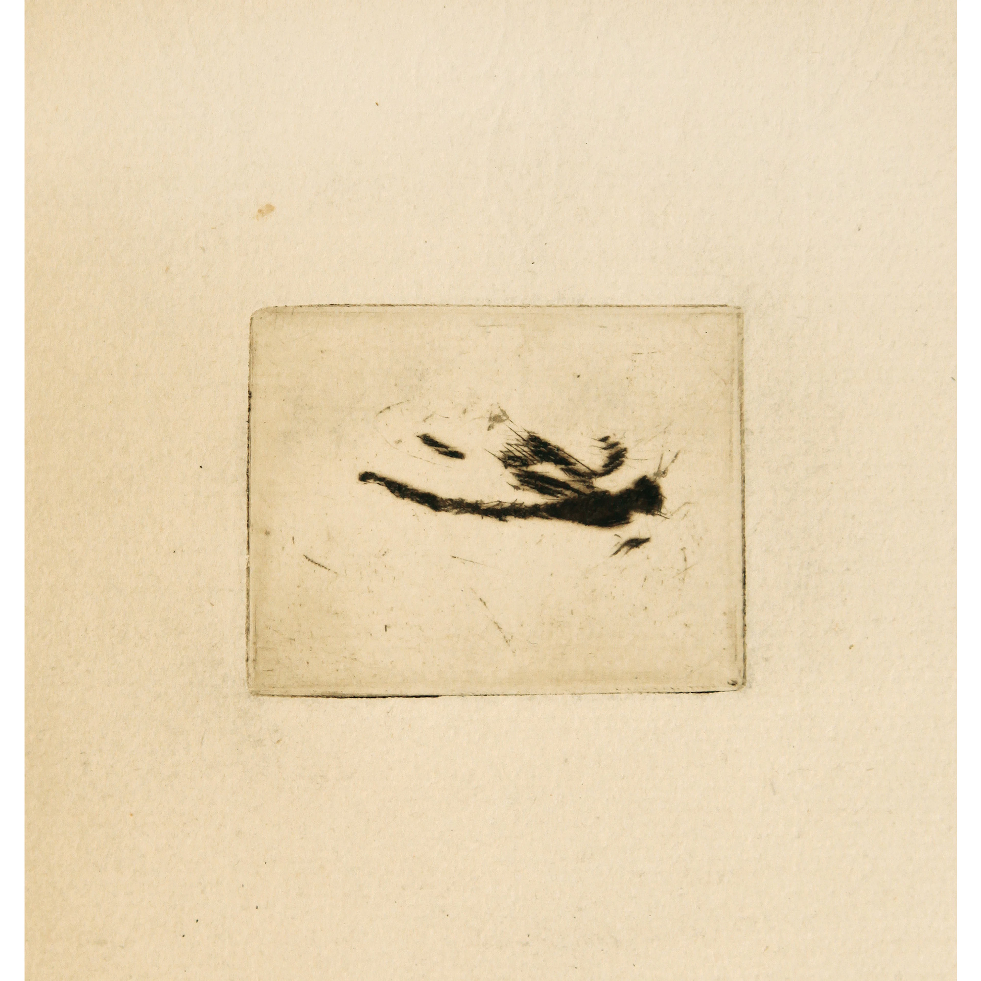 Le Fleuve. Eaux-fortes d'Edouard Manet. Paris, Librairie de l'Eau-Forte [Lesclide ; Imprimerie Cochet à Meaux ; Eugène Delâtre pour la taille-douce], 1874.