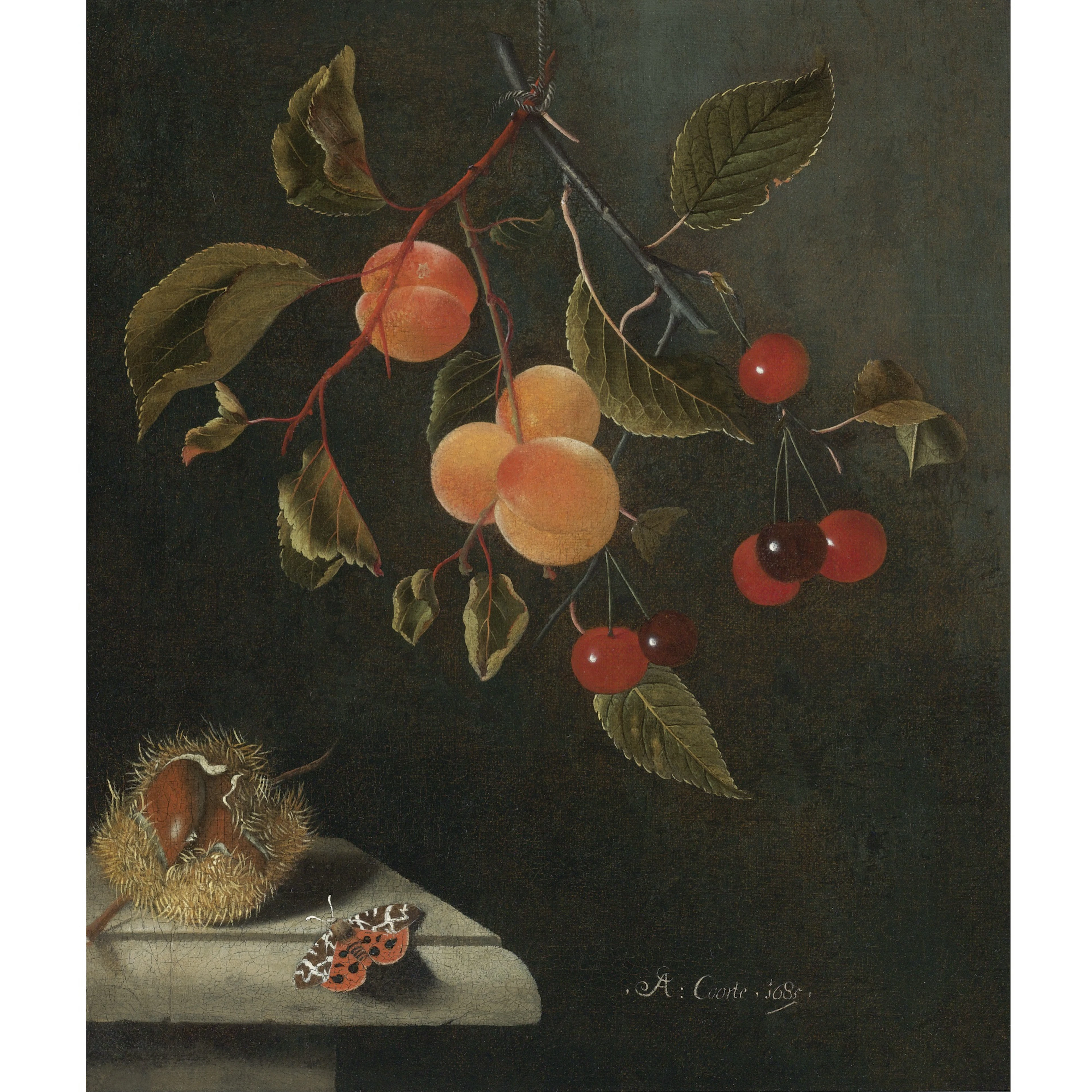 Still Life with a Butterfly, Apricots, Cherries, and a Chestnut