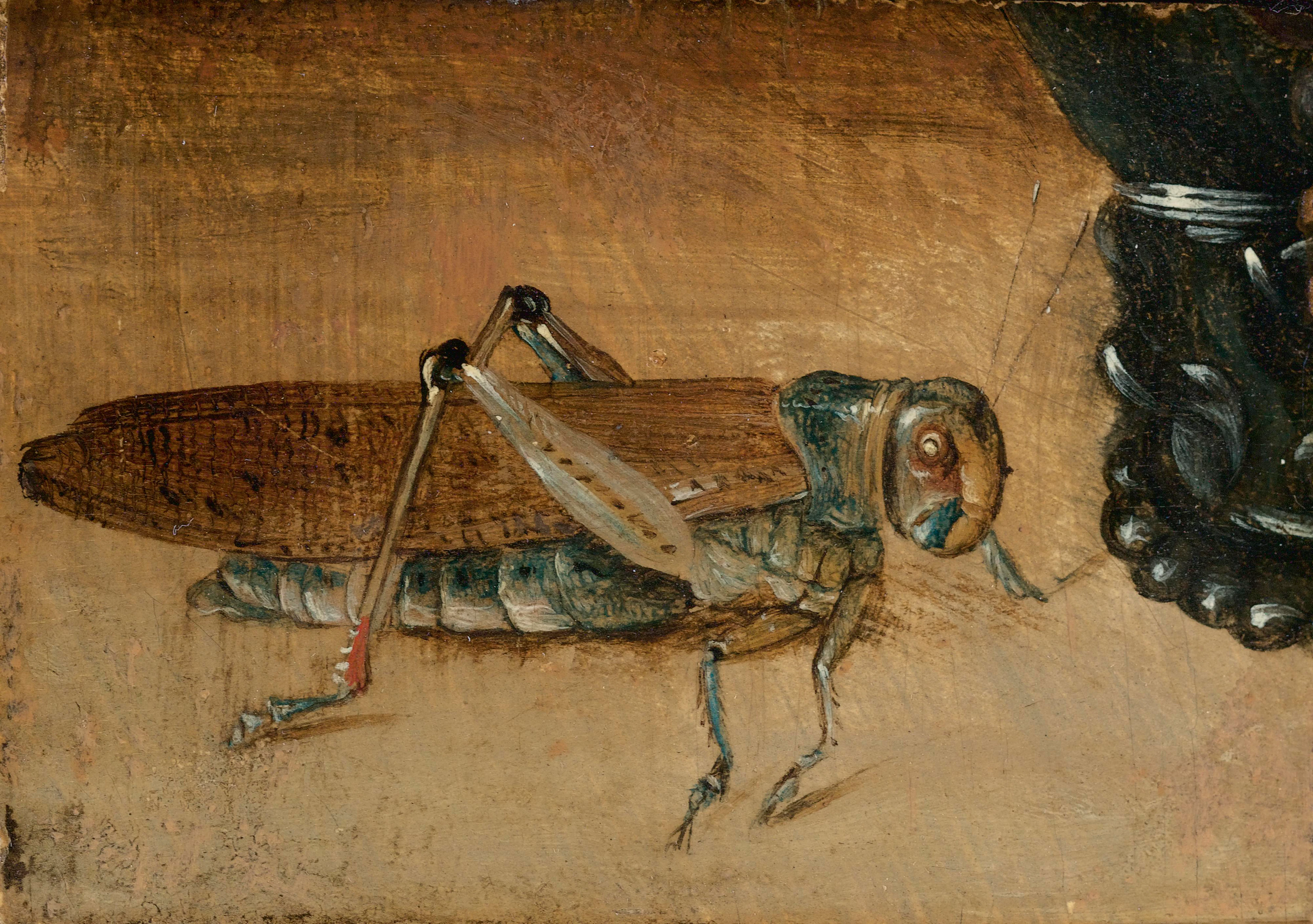A Grasshopper Beside a Roemer:  A Fragment