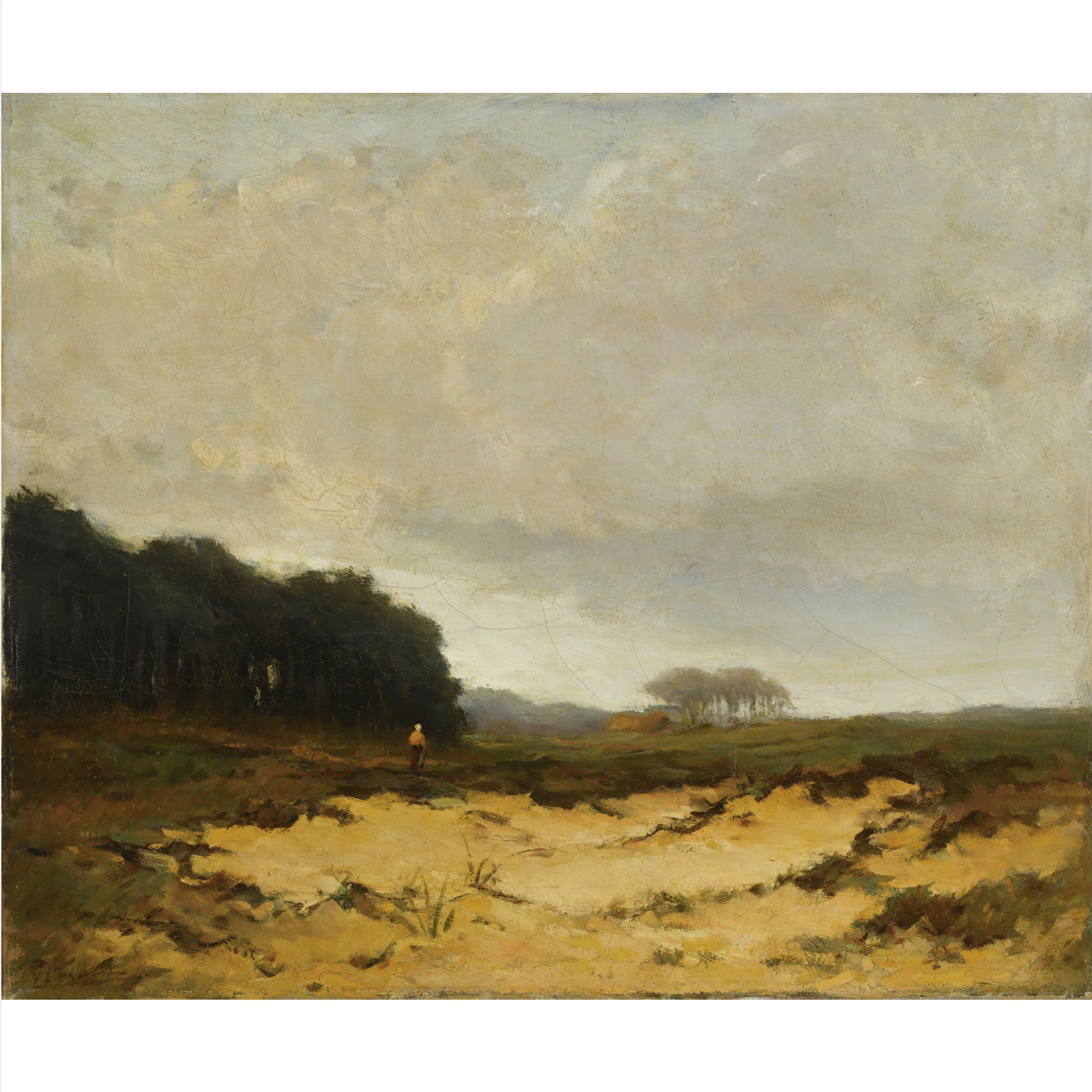 On the heath