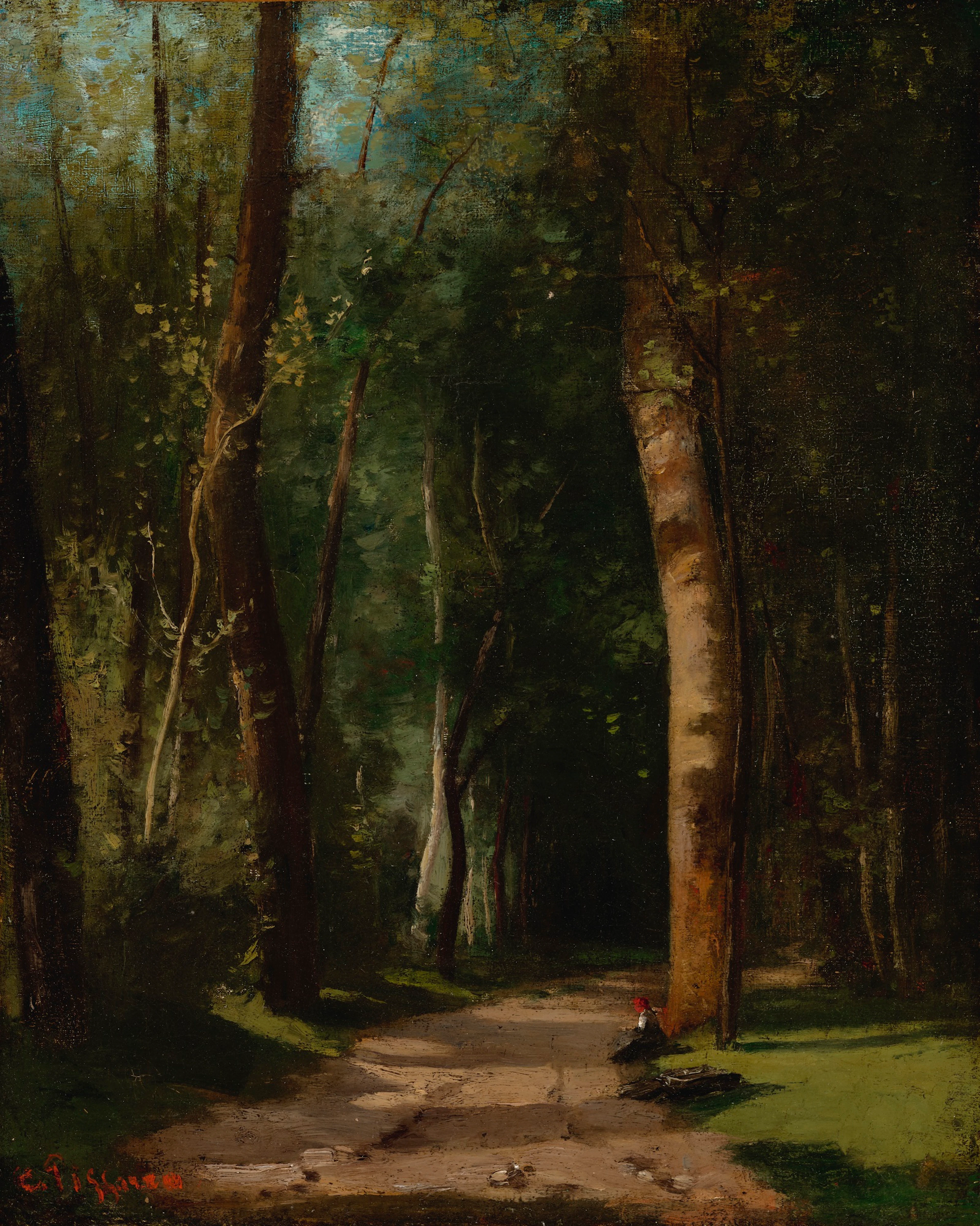 Allée dans une fôret