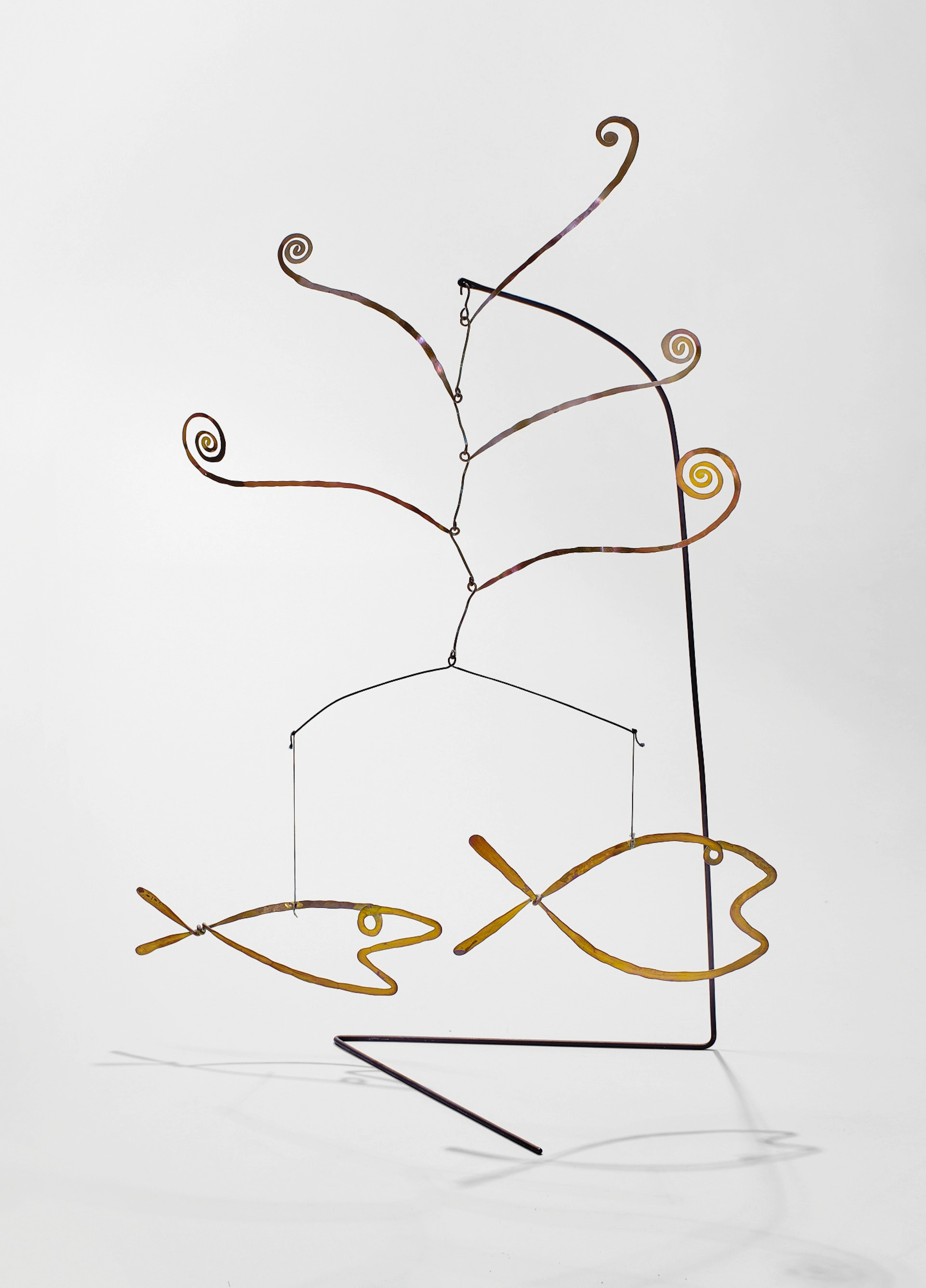 Fish and Water Weeds