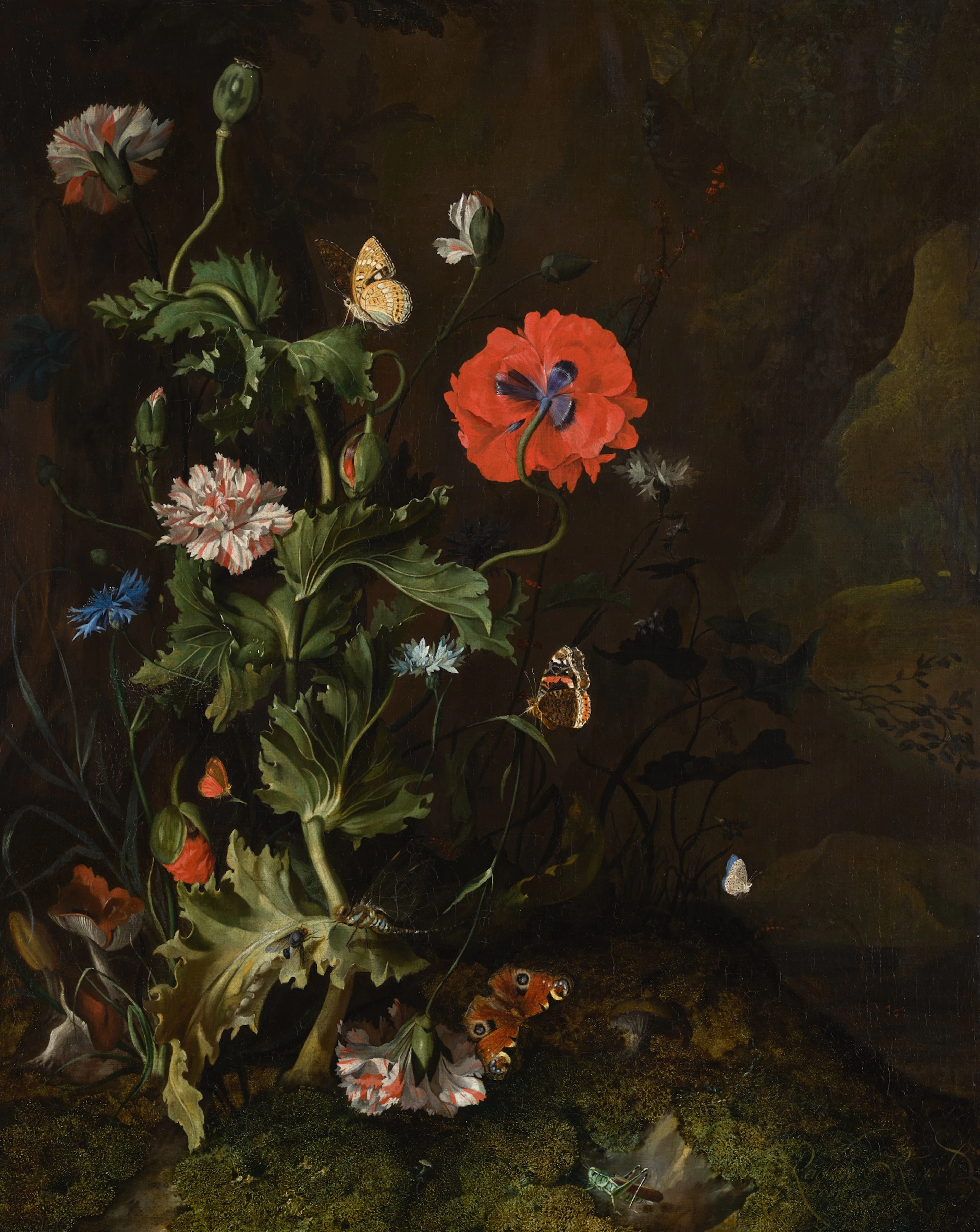 RACHEL RUYSCH | Still life of a thistle between...