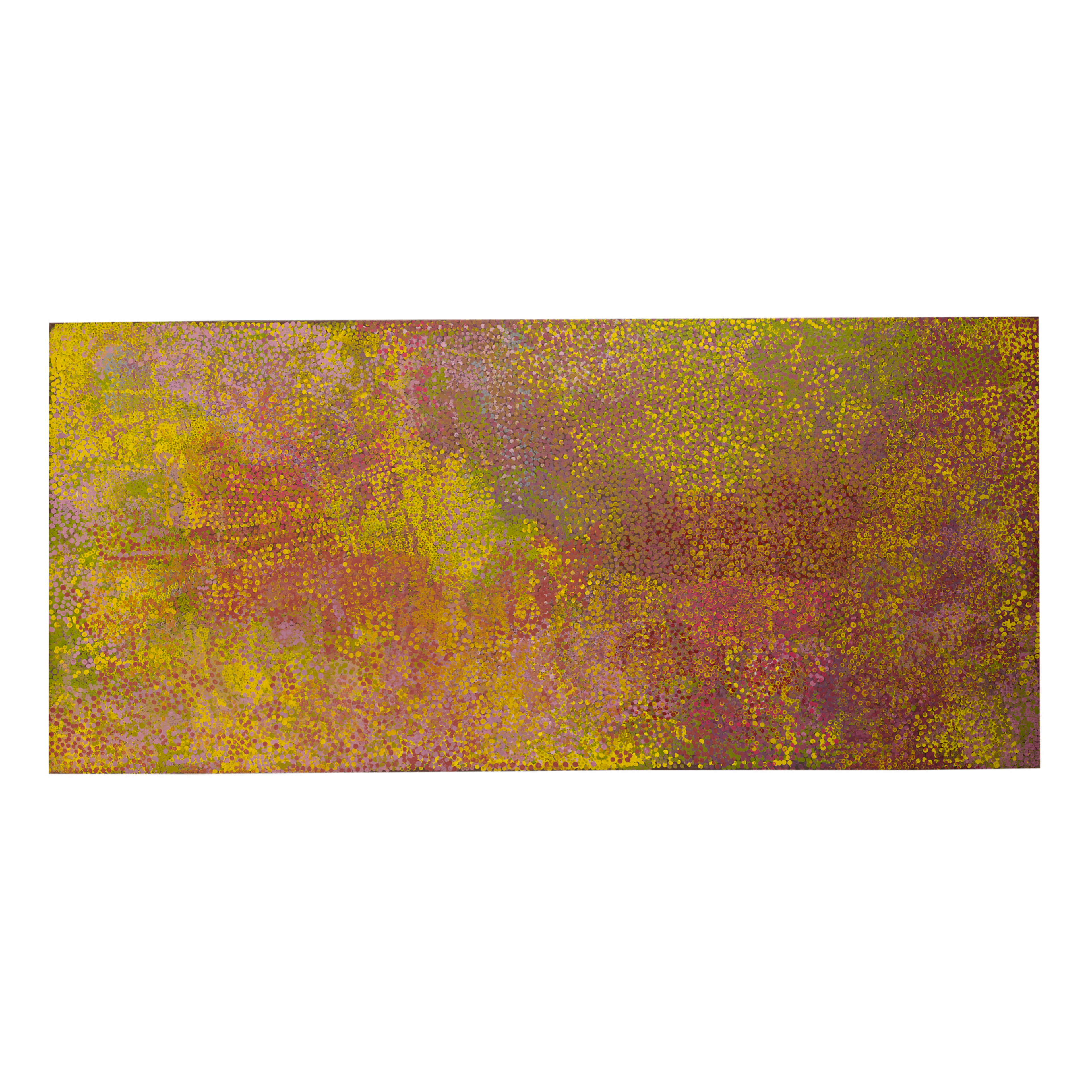 Emily kame kngwarreye | summer celebration