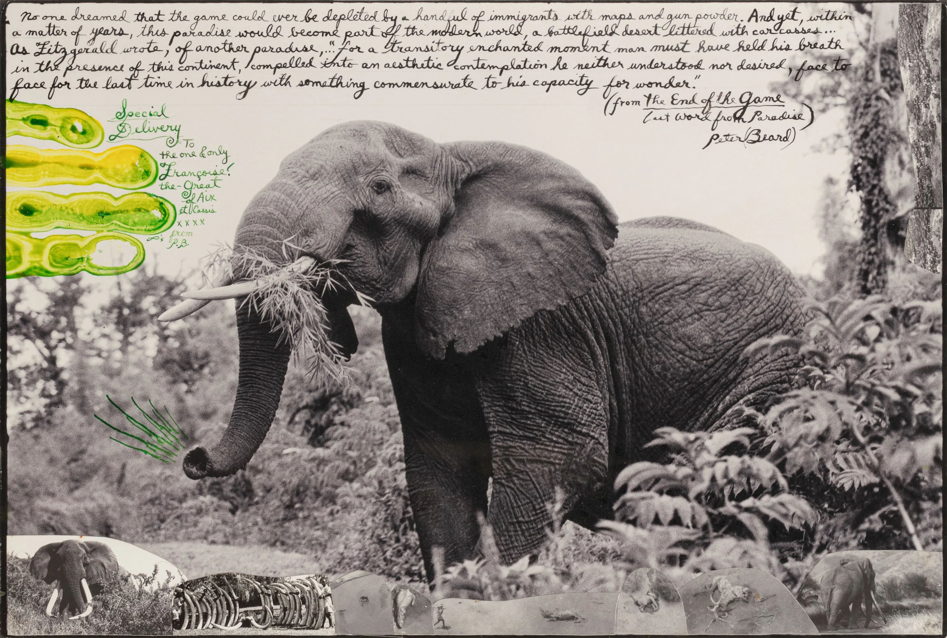 Peter beard | from the end of the game, nd