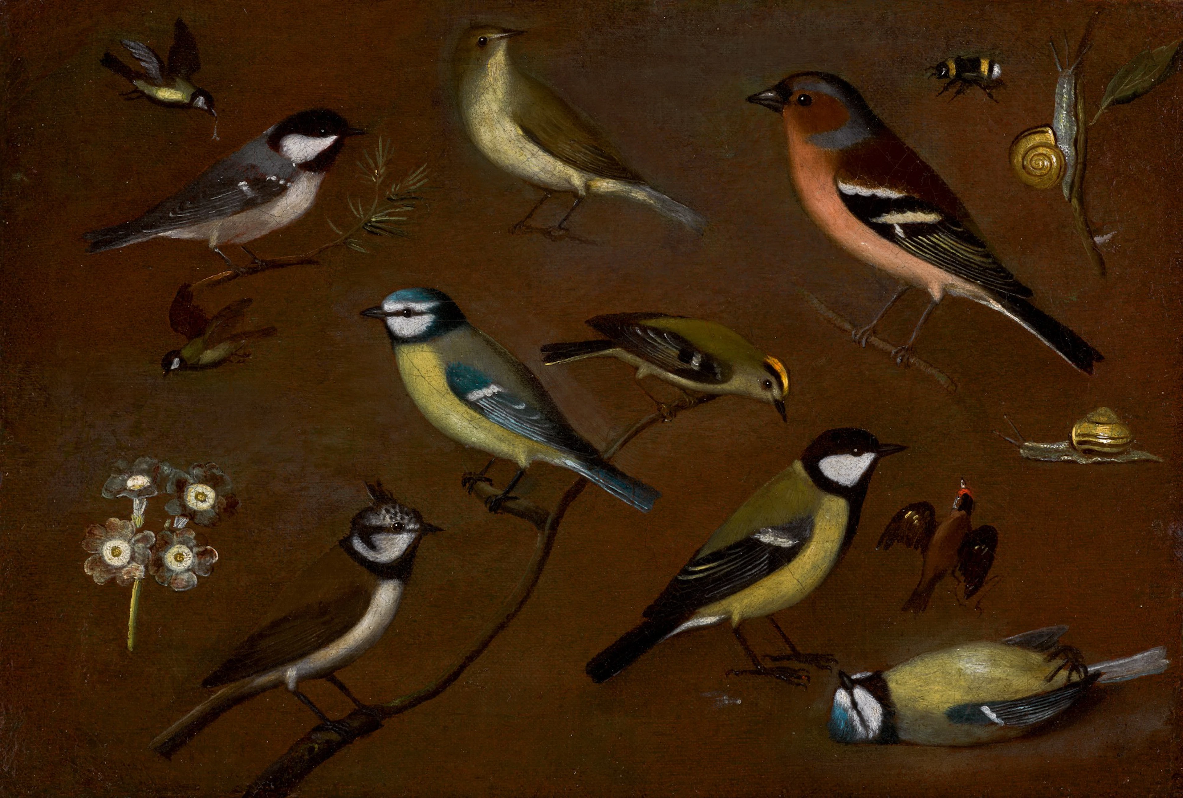 ORSOLA MADDALENA CACCIA | Still life of birds