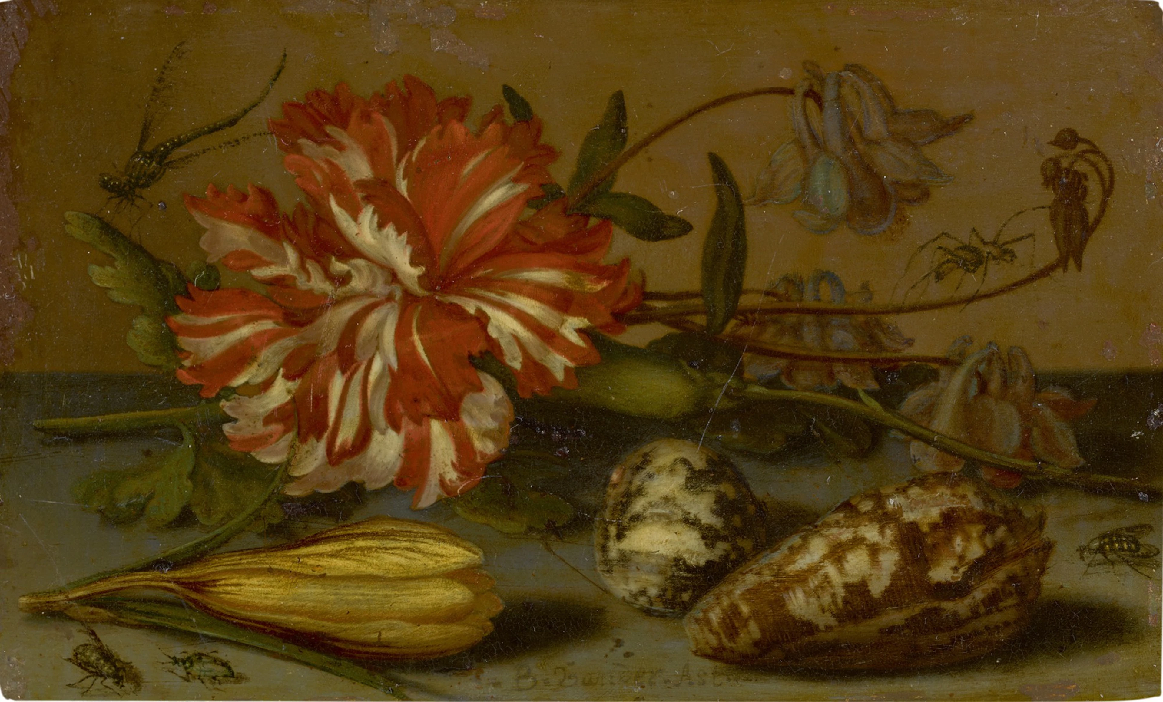 Balthasar van der ast | still life with a carnation and a crocus