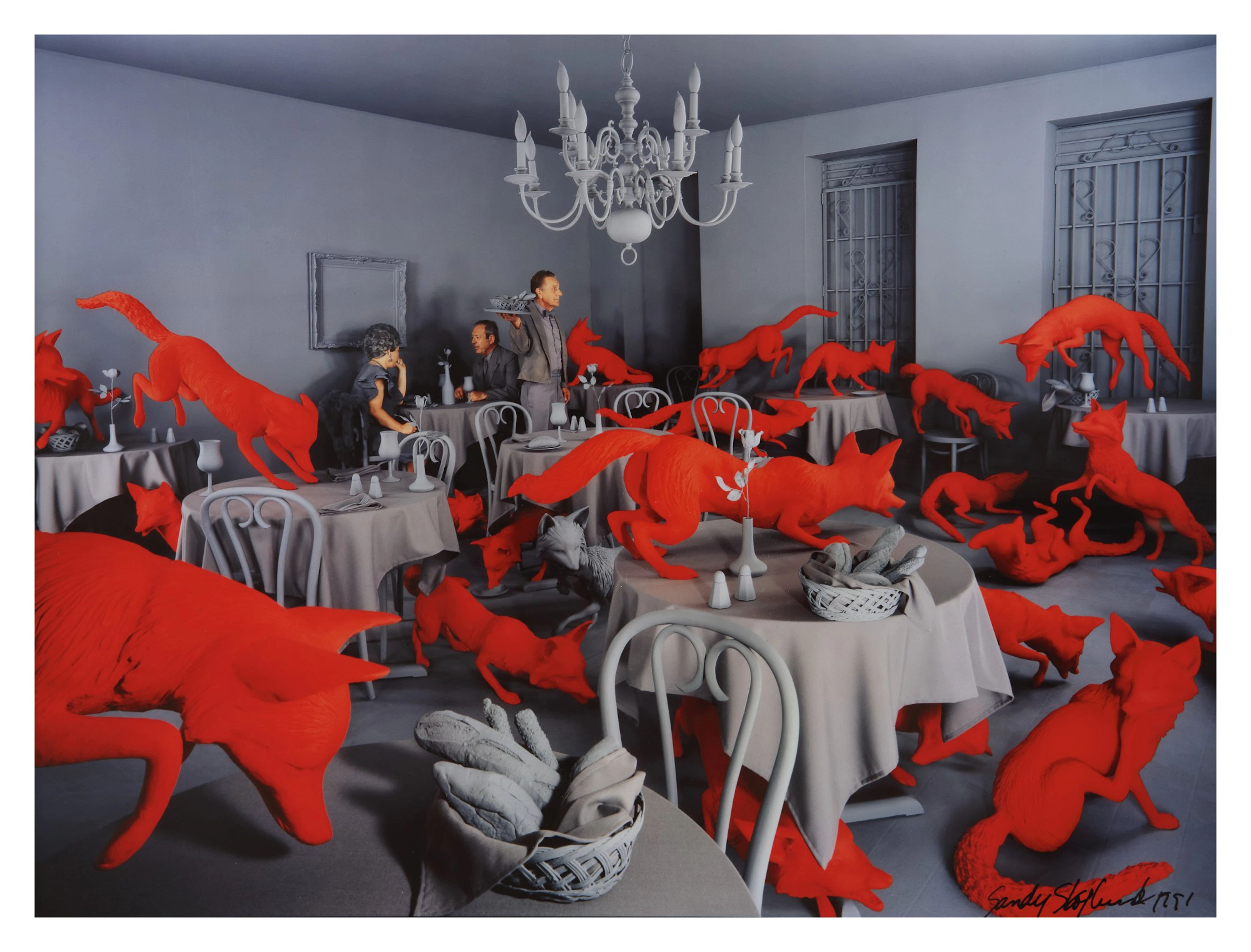 Sandy skoglund | the red foxes