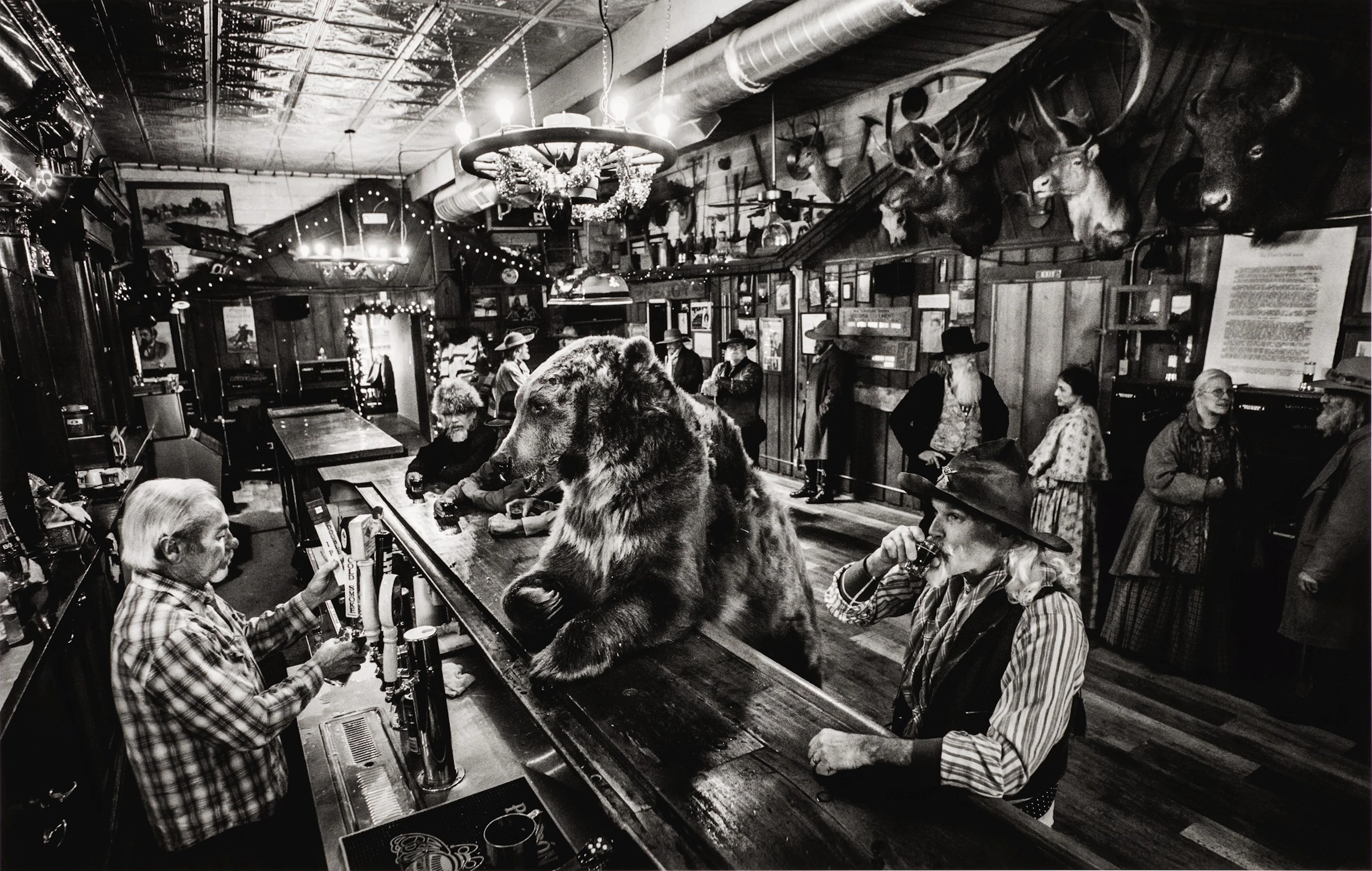 David yarrow | a bear walks into a bar, 2016