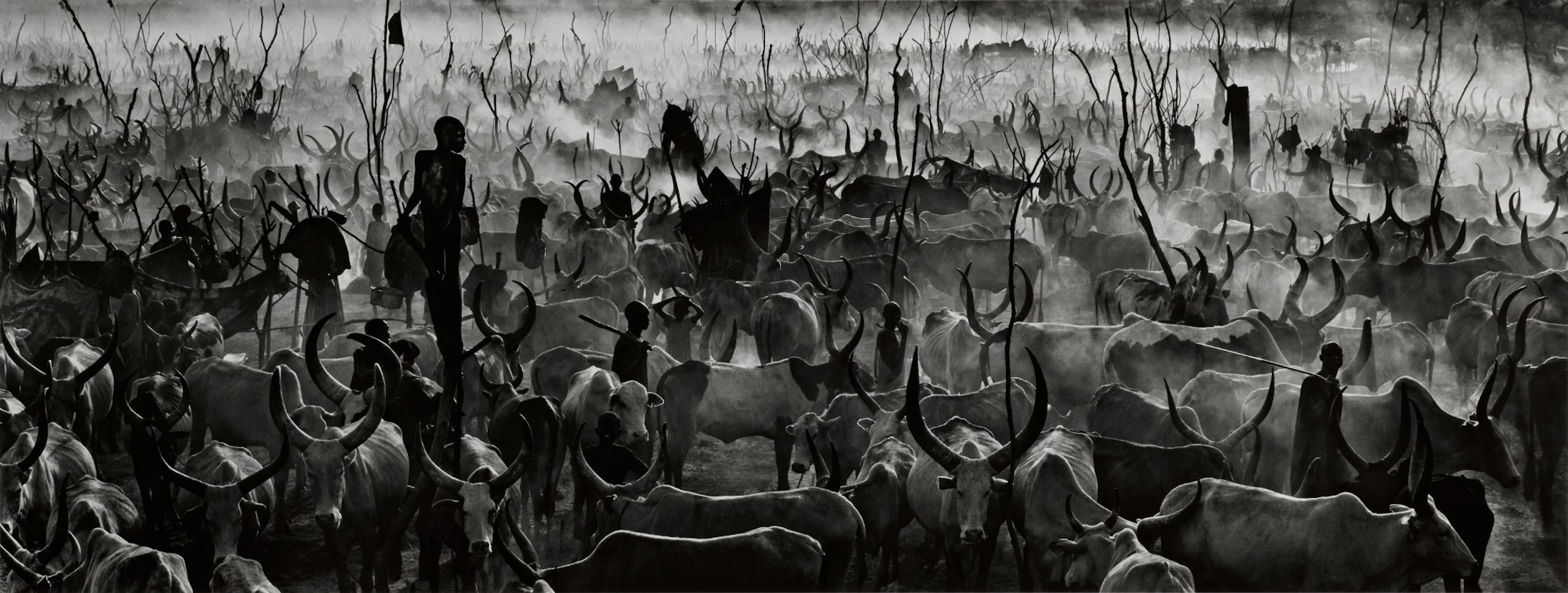 David yarrow | 'mankind ii', yirol, south sudan, 2014
