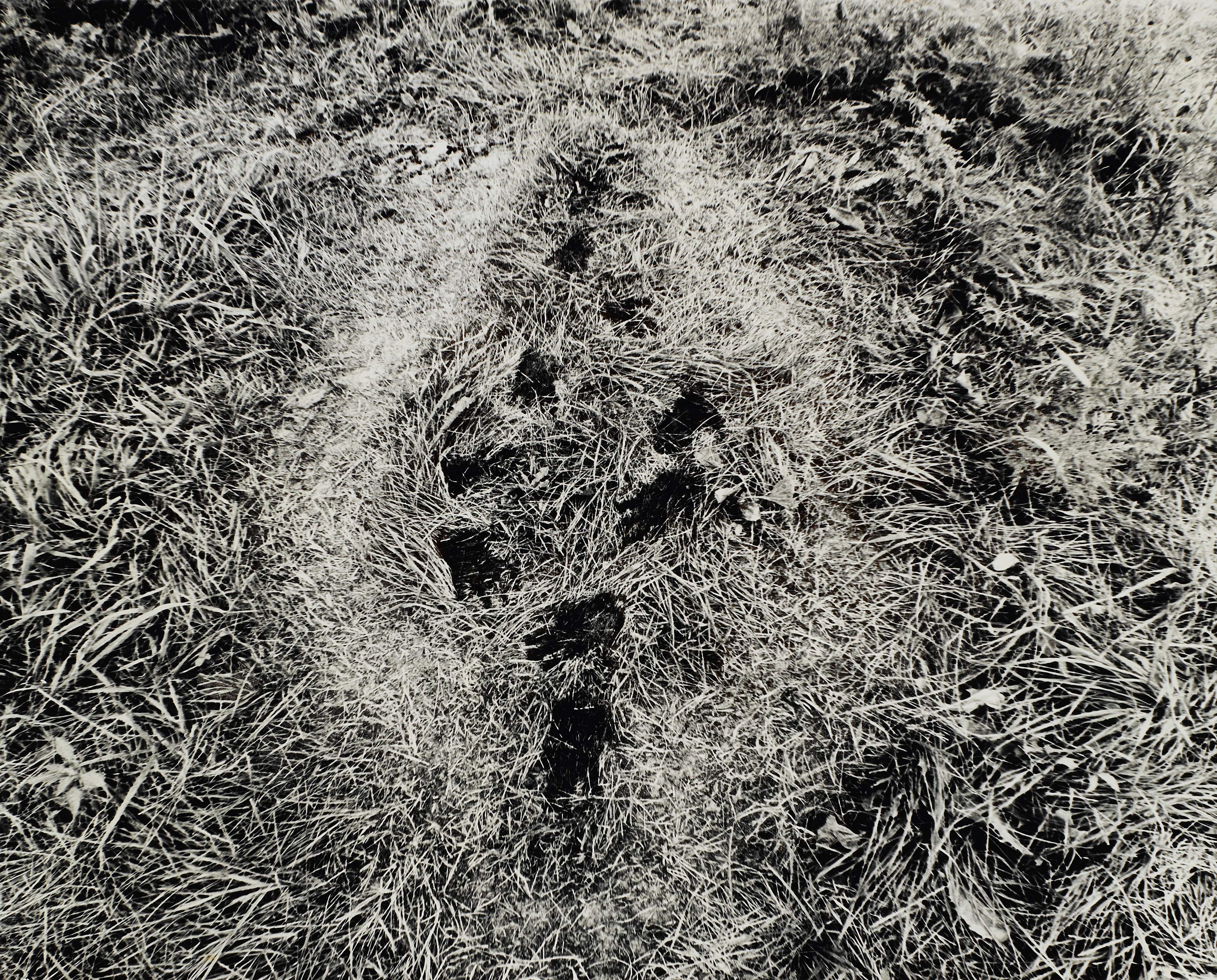 Ana mendieta | 'untitled' (from the silueta series), iowa, 1978