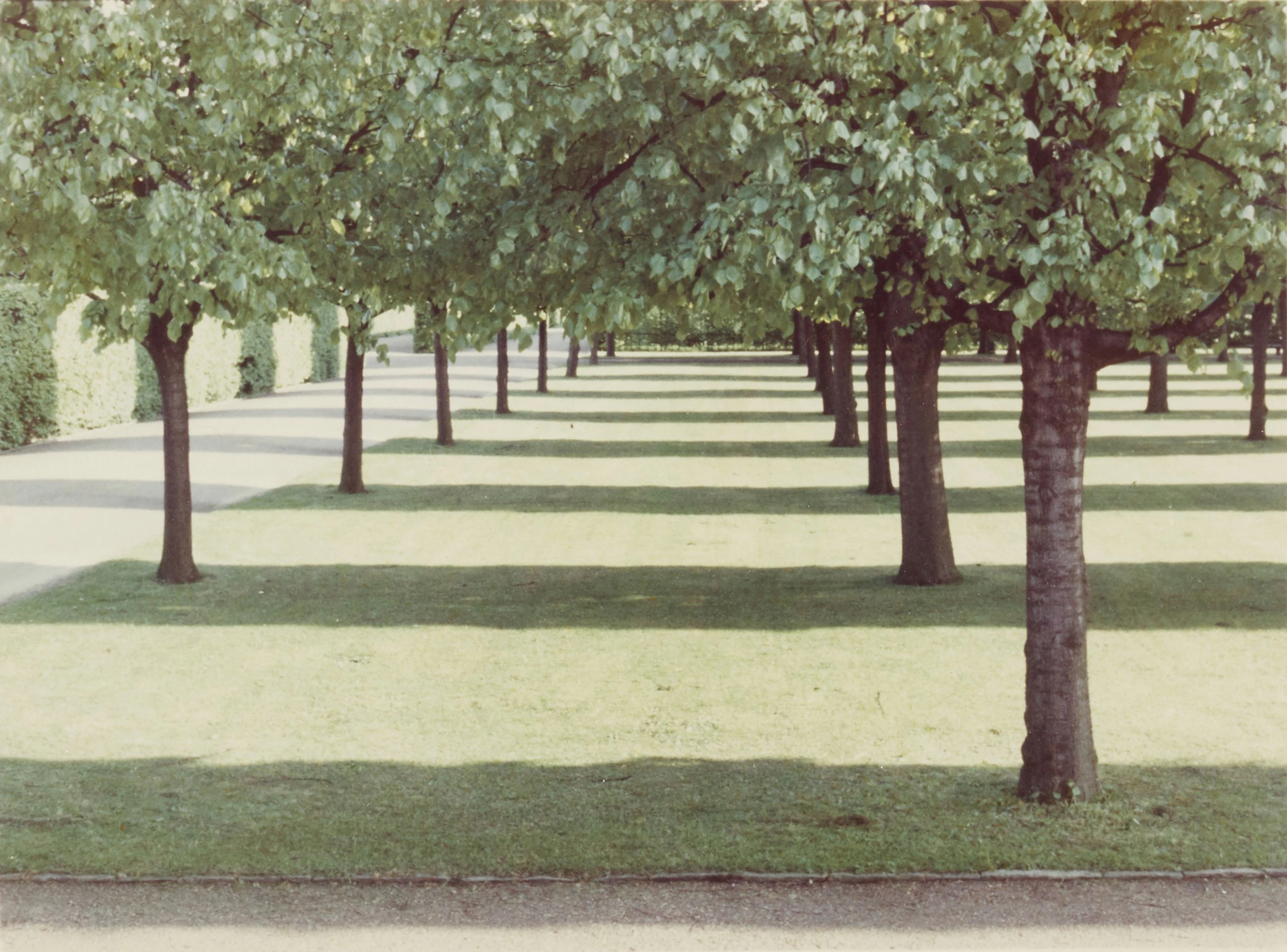 David hockney | 'herrenhausen