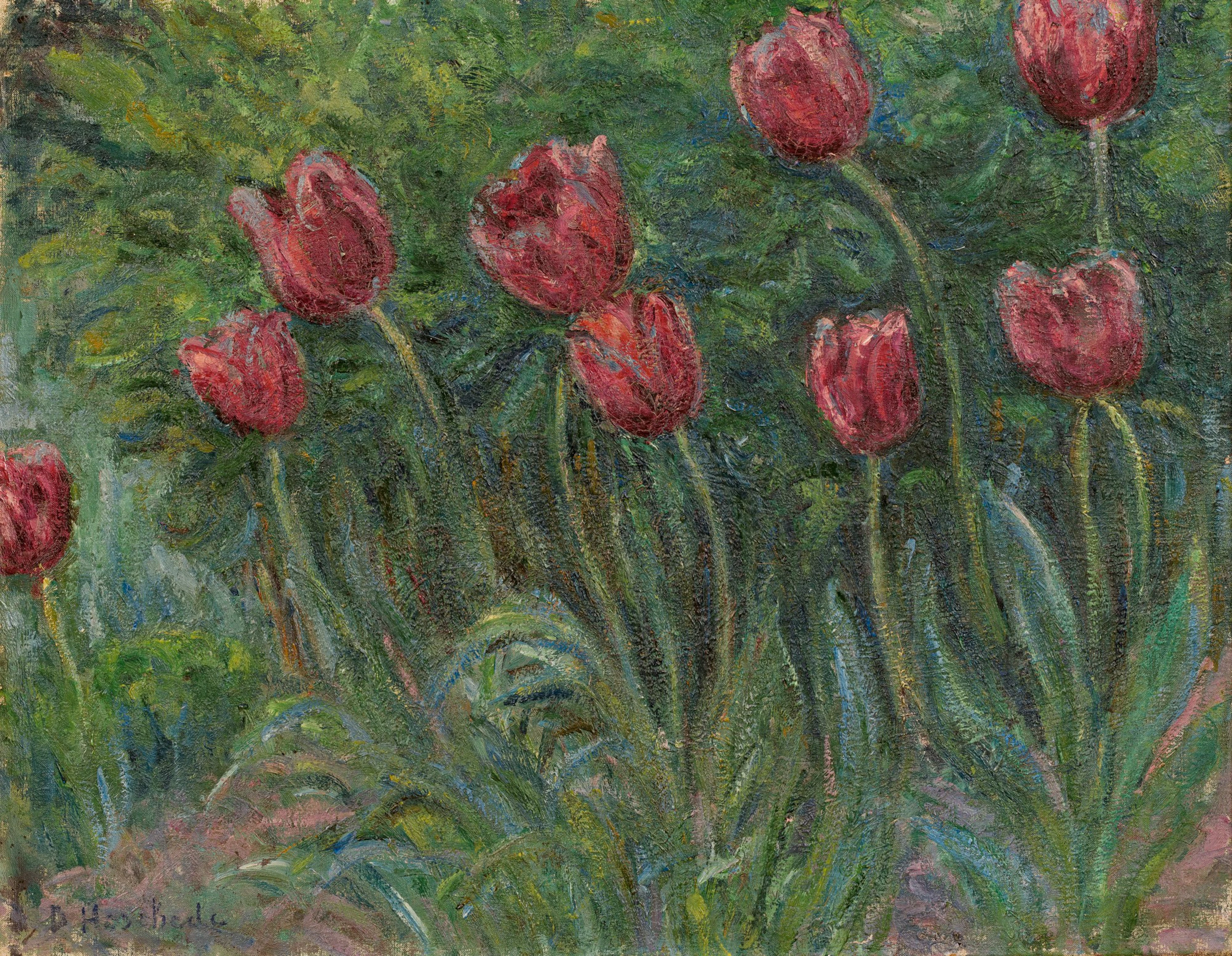Tulipes (Giverny)