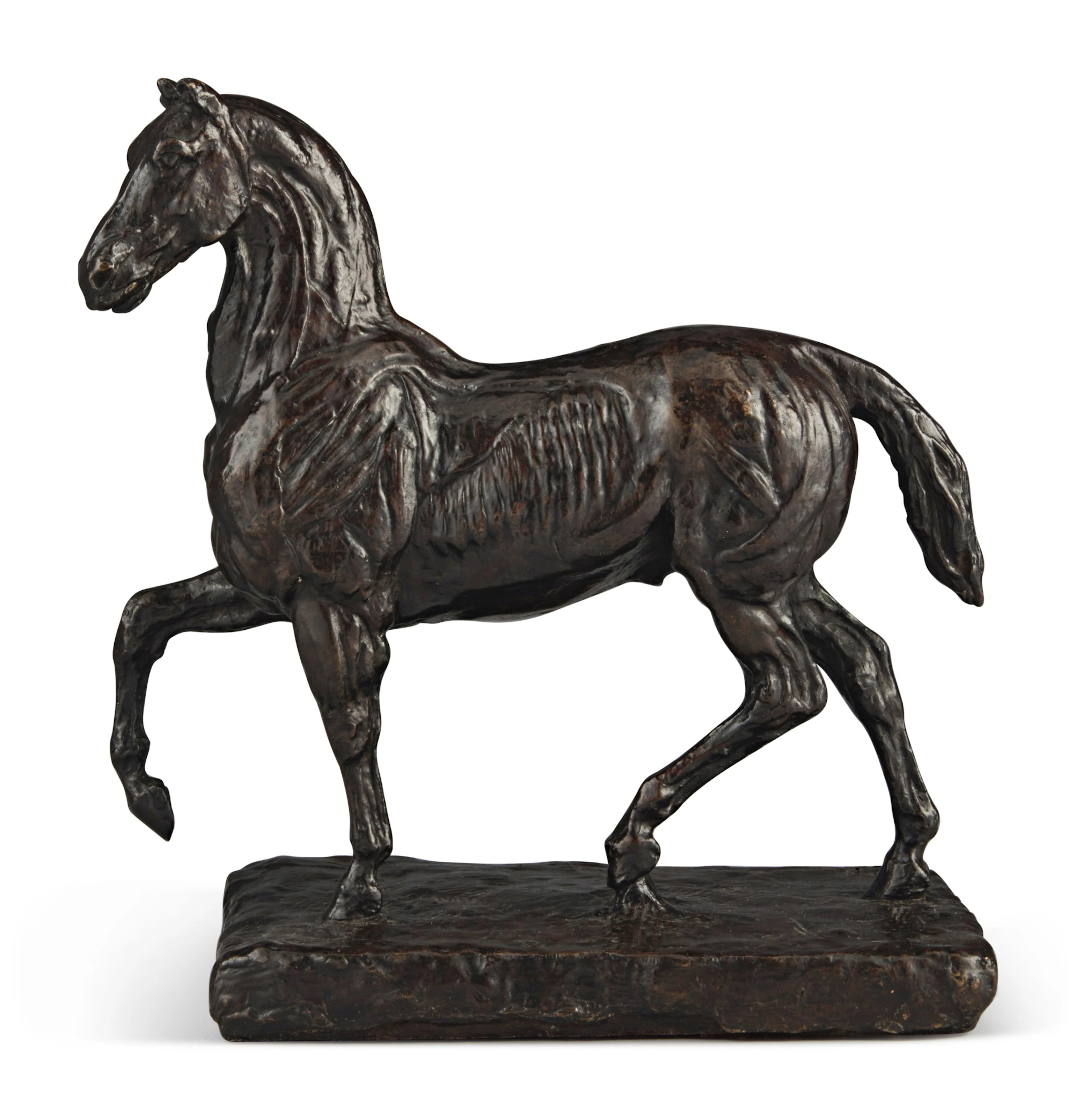 Cheval écorché