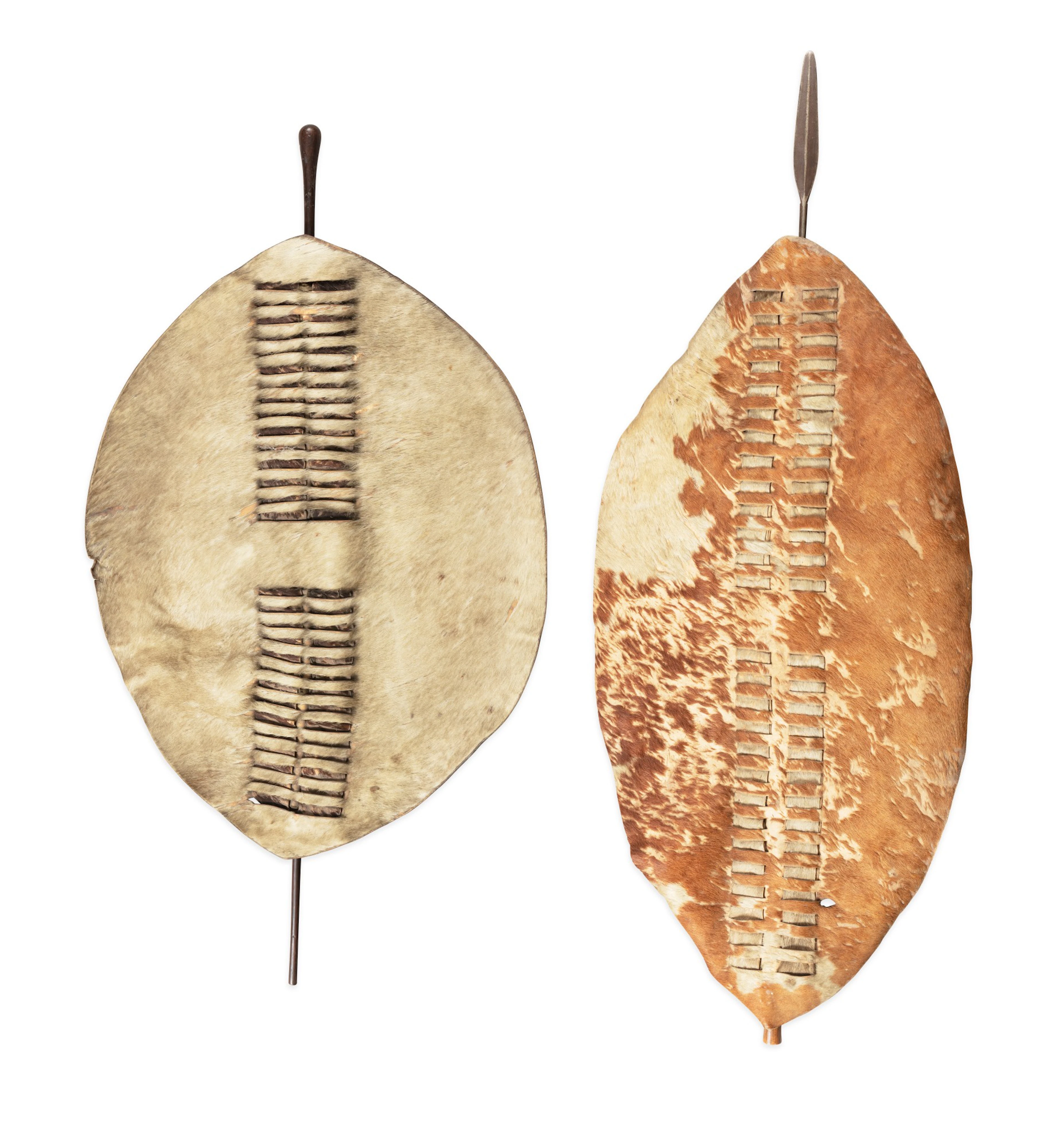 Deux boucliers, Zulu, Afrique du Sud | Two shields, Zulu, South Africa