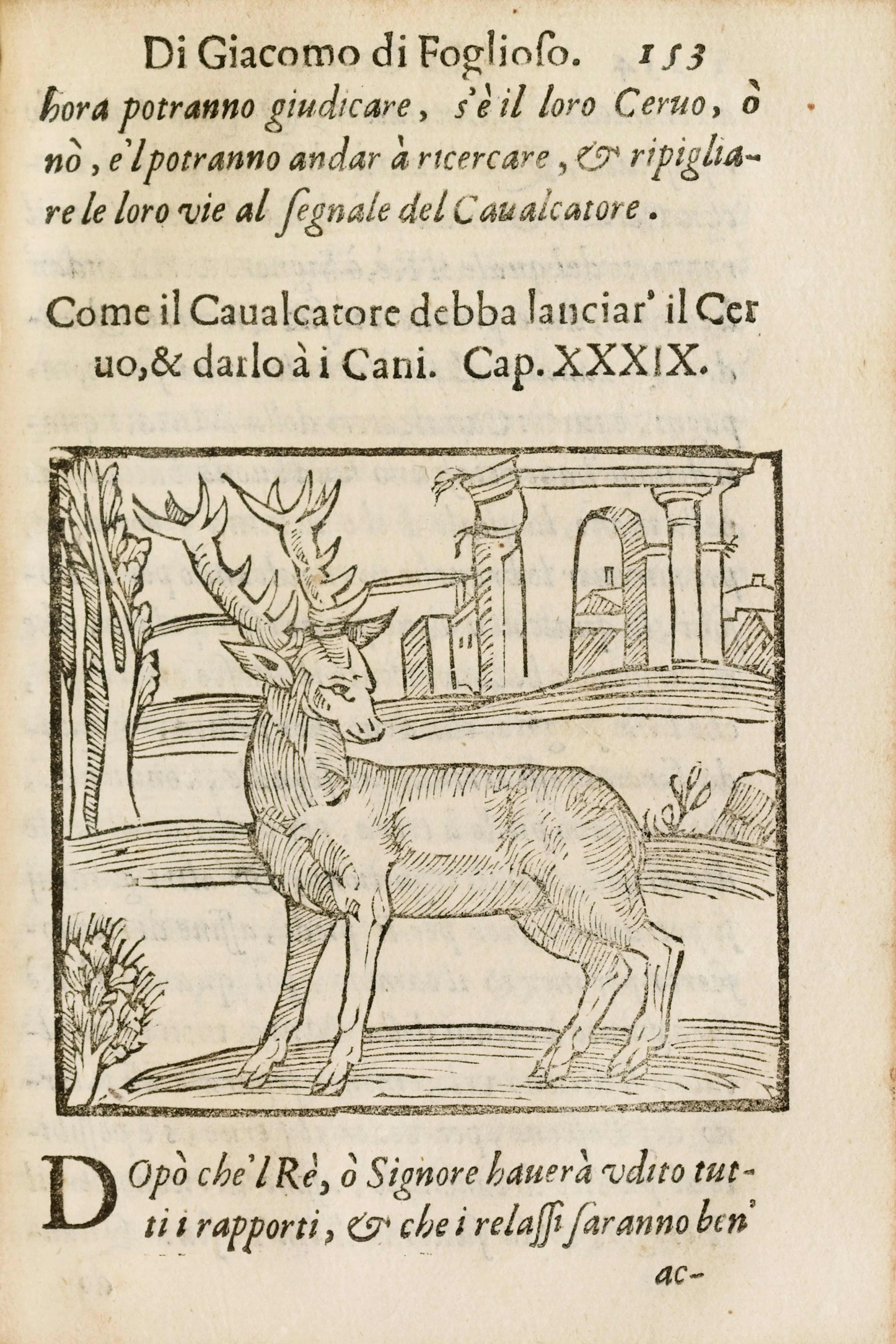 La caccia di Giacomo di Foglioso