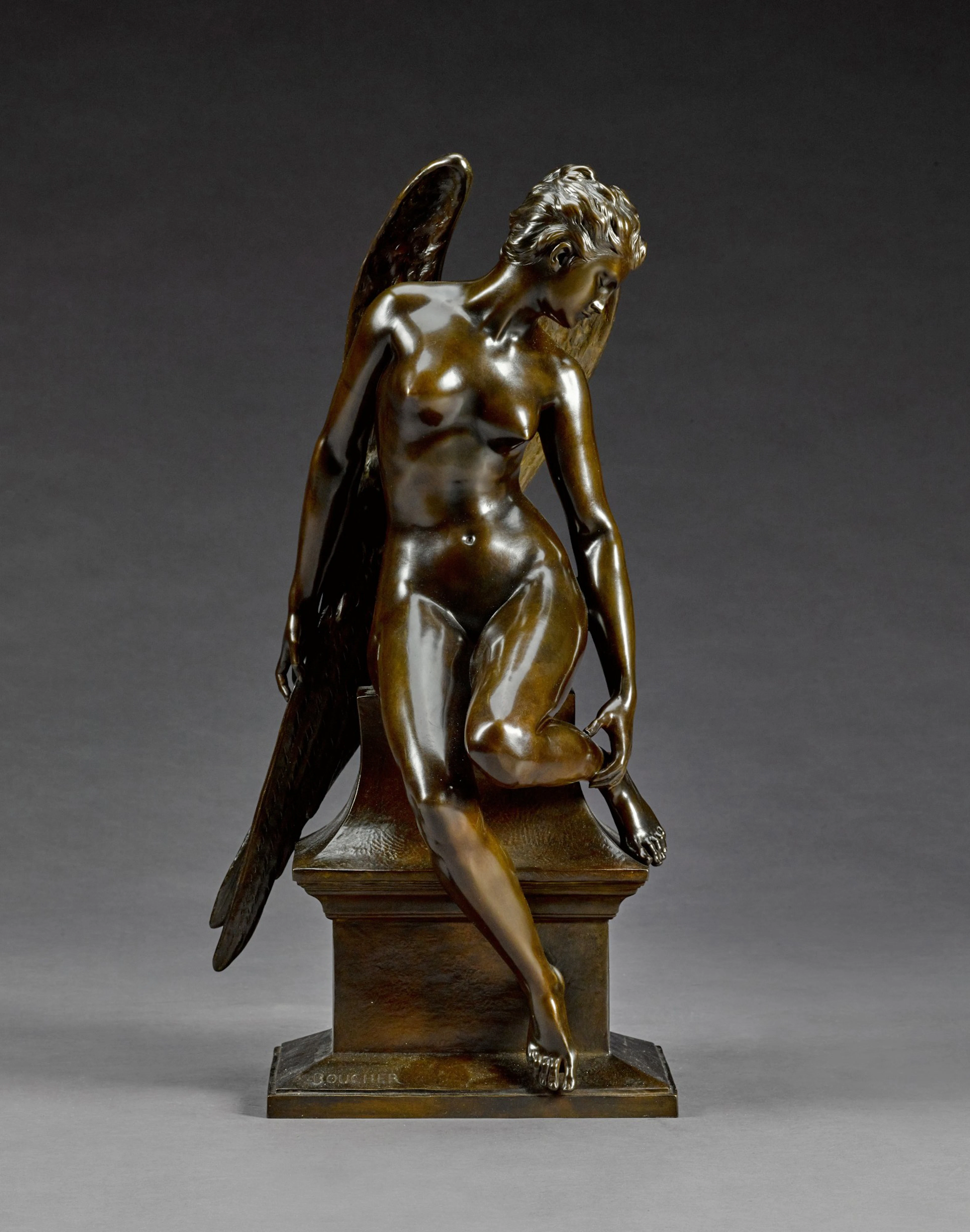L'hirondelle blessée (The Wounded Swallow)