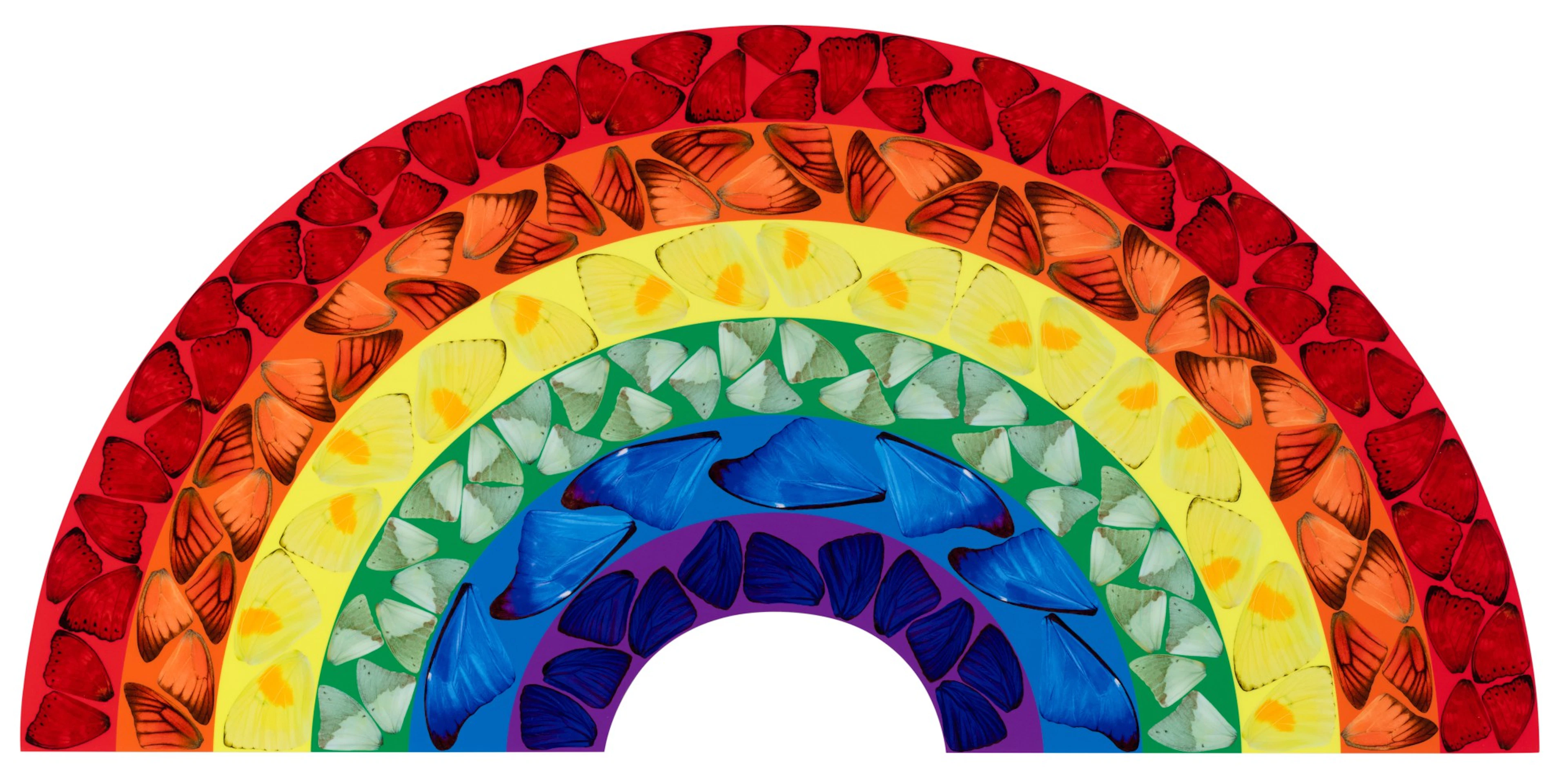 Butterfly rainbow
