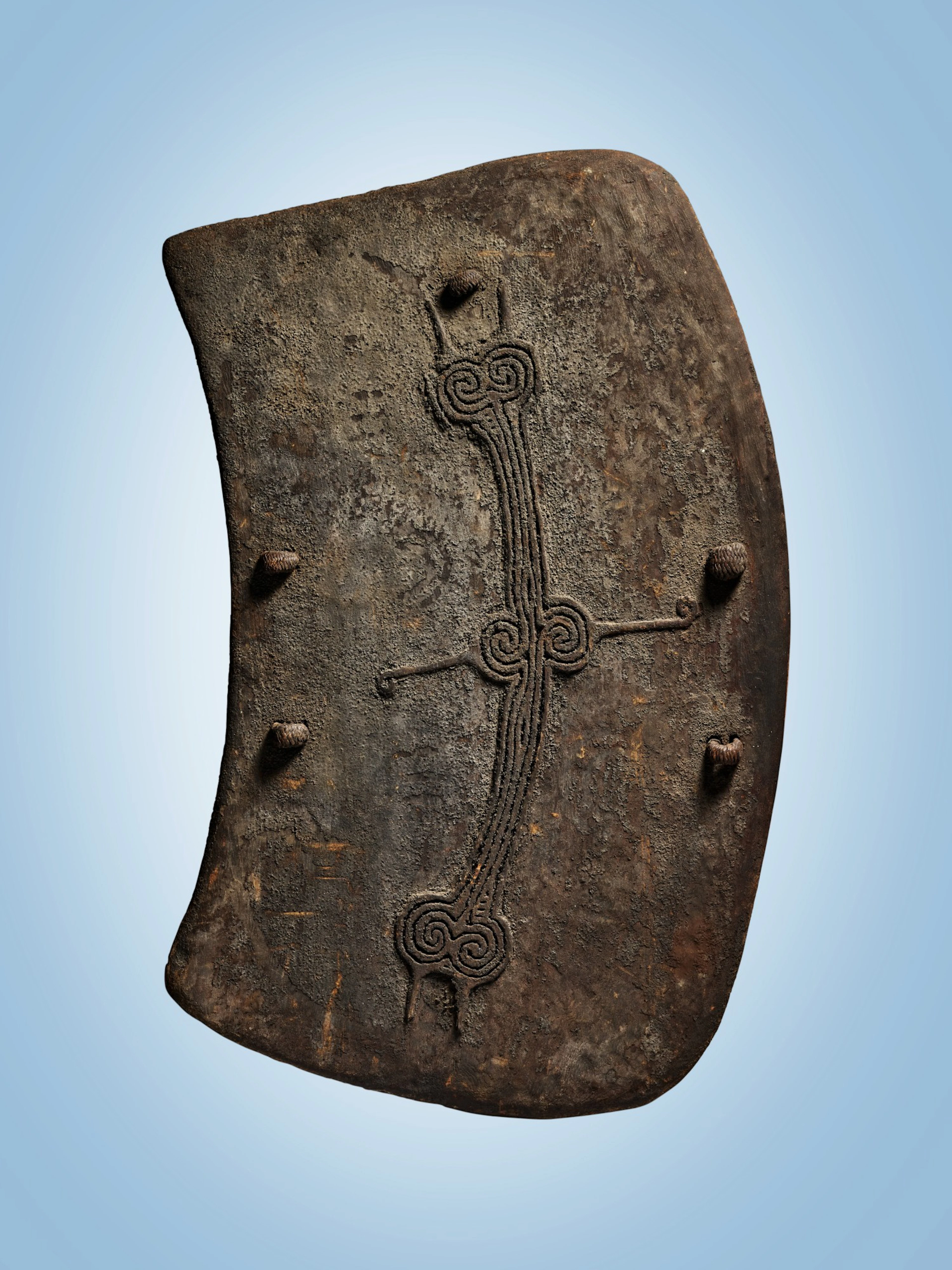 Olo Shield, Torricelli Mountains, West Sepik Province, Papua New Guinea