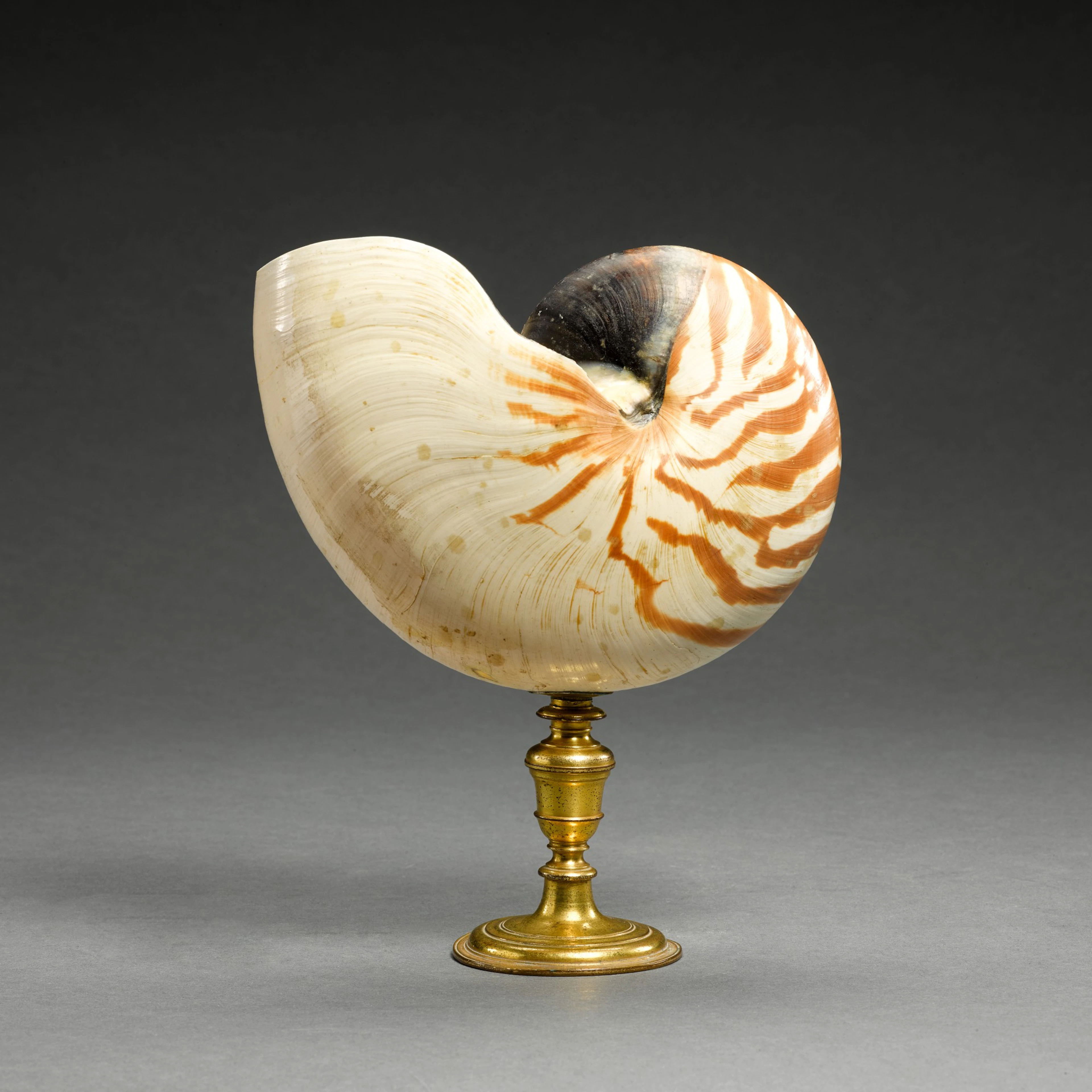 Probably Italian, late 17th century | Nautilus Cup
