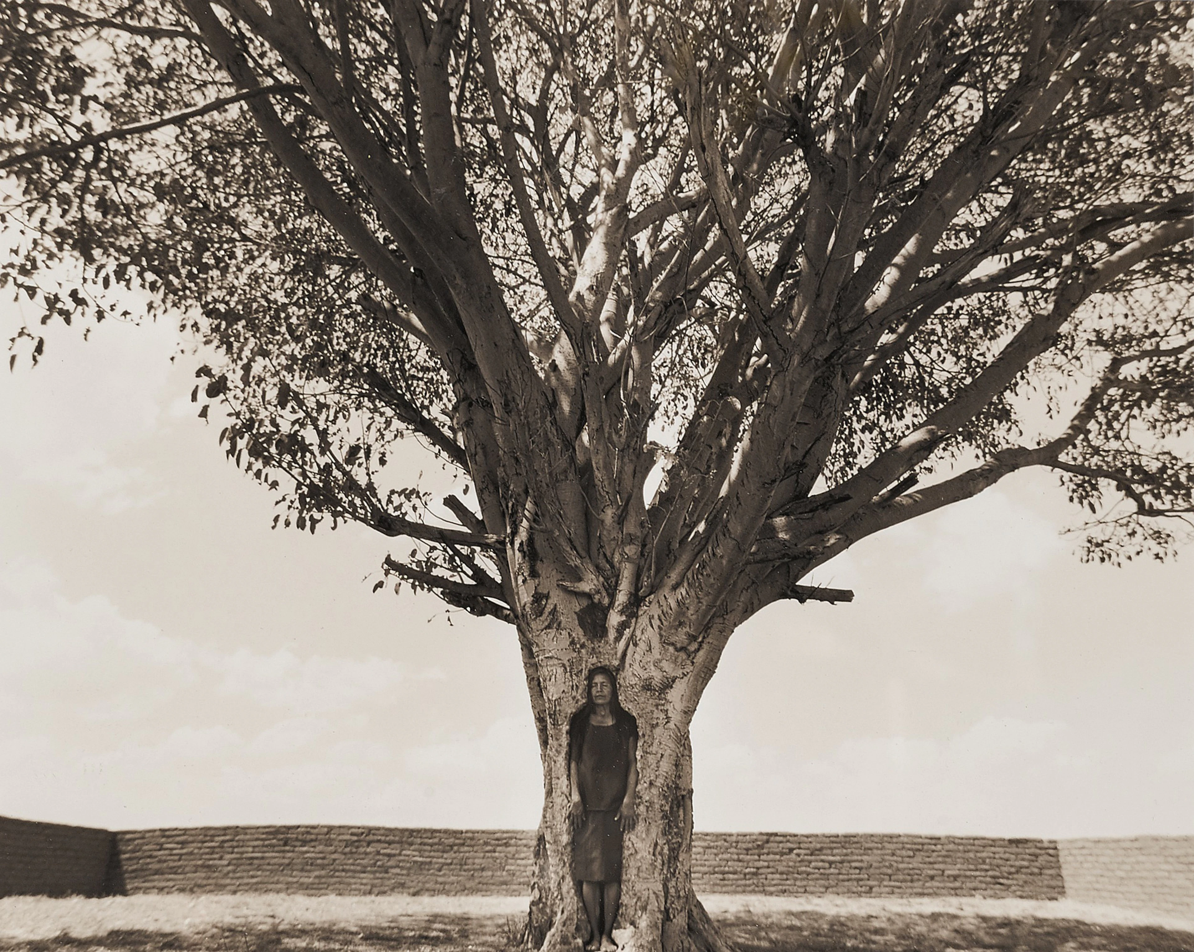 Untitled #17 (from the Tooba Series)