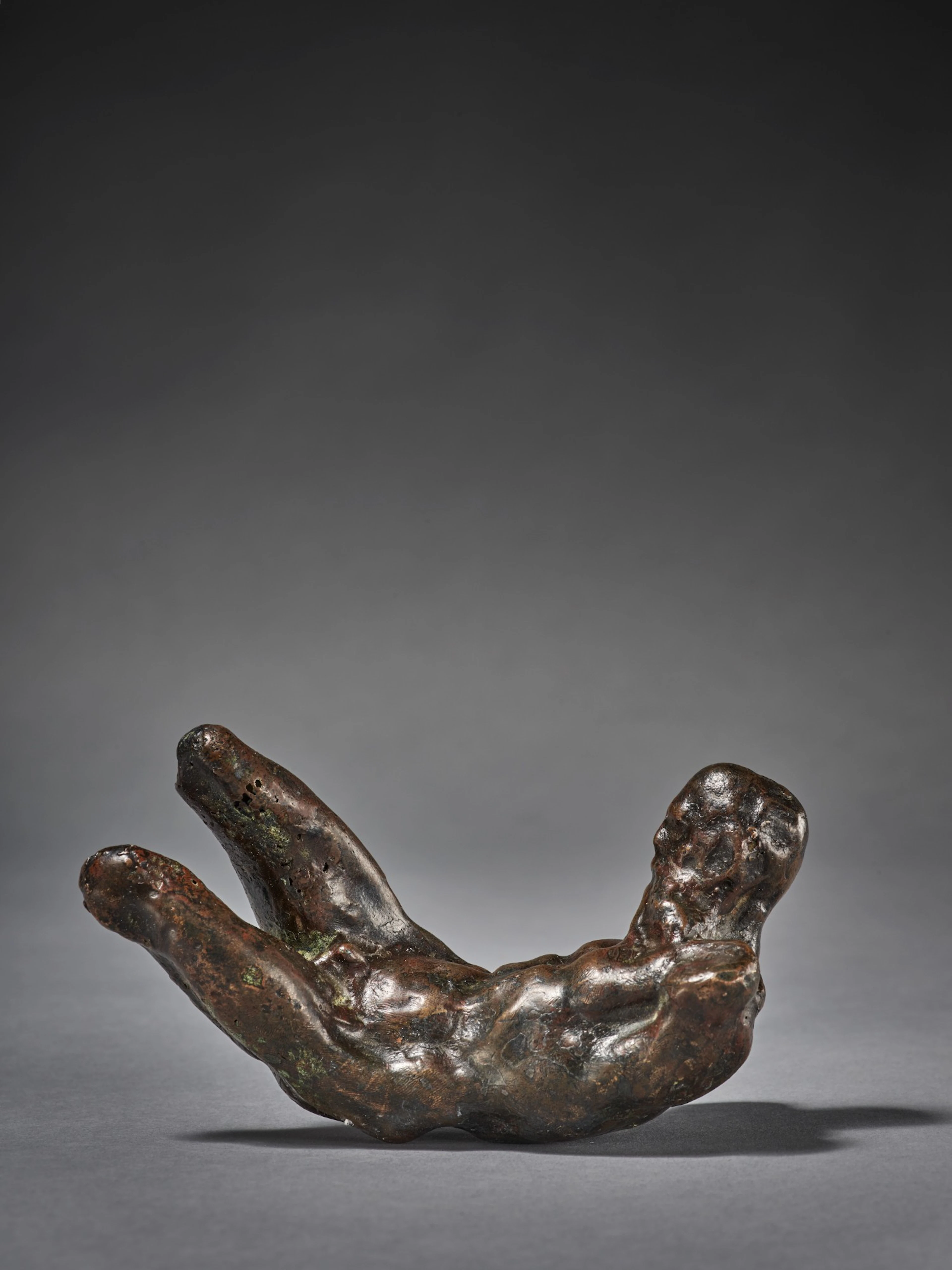 Torso