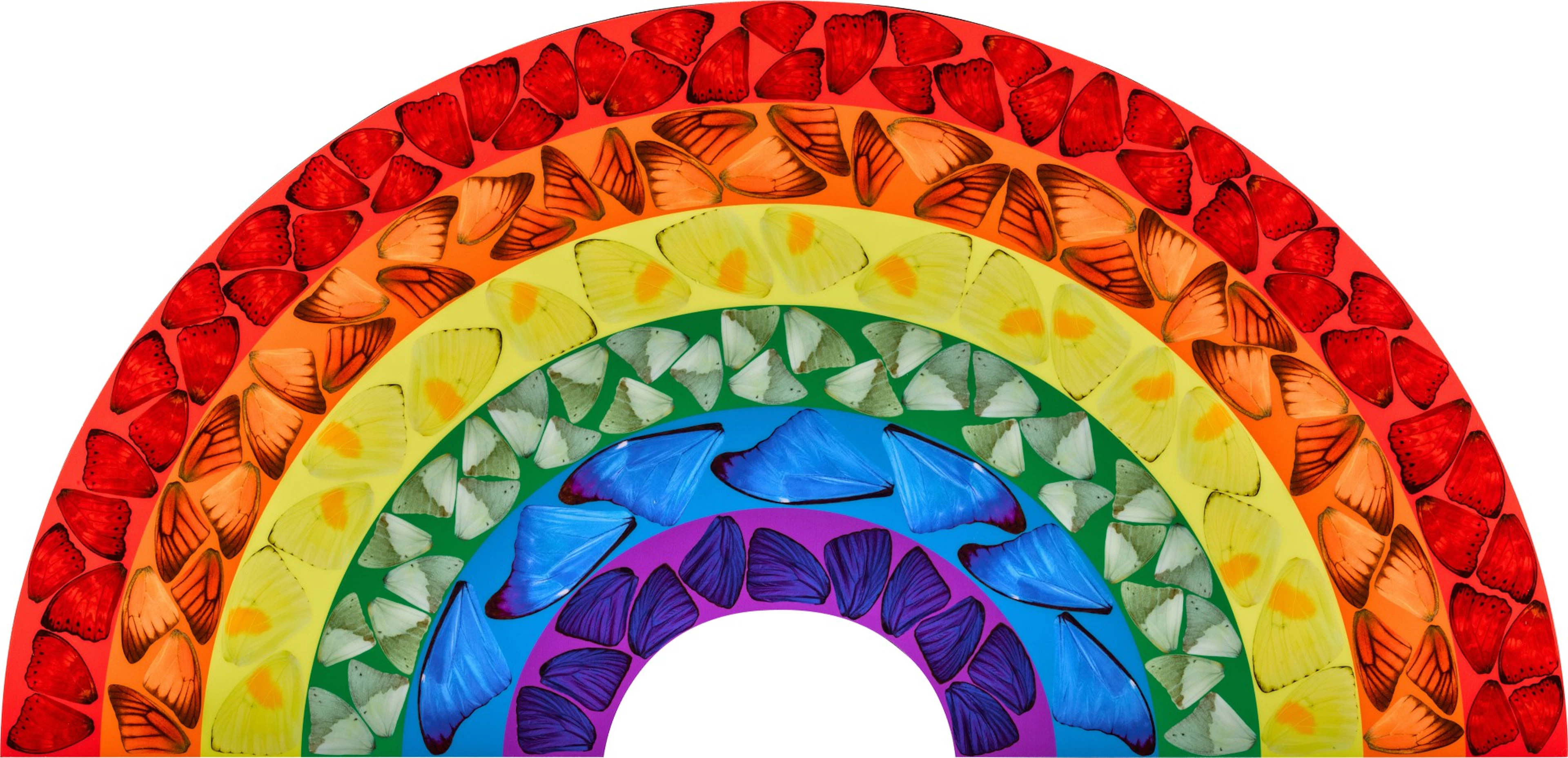 Butterfly Rainbow (small) (H7-2)