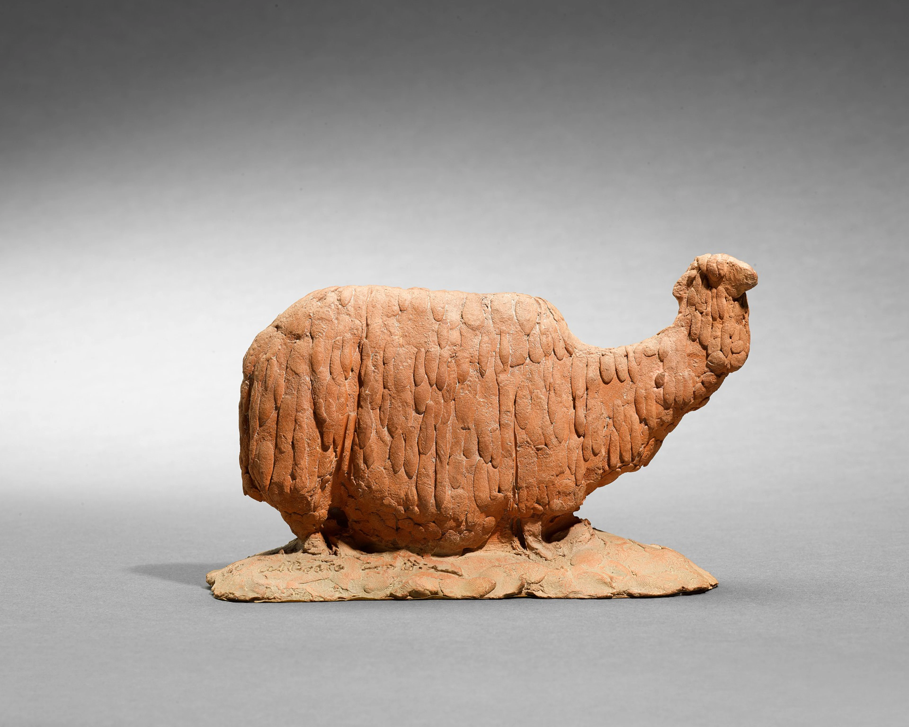 Alpaca
