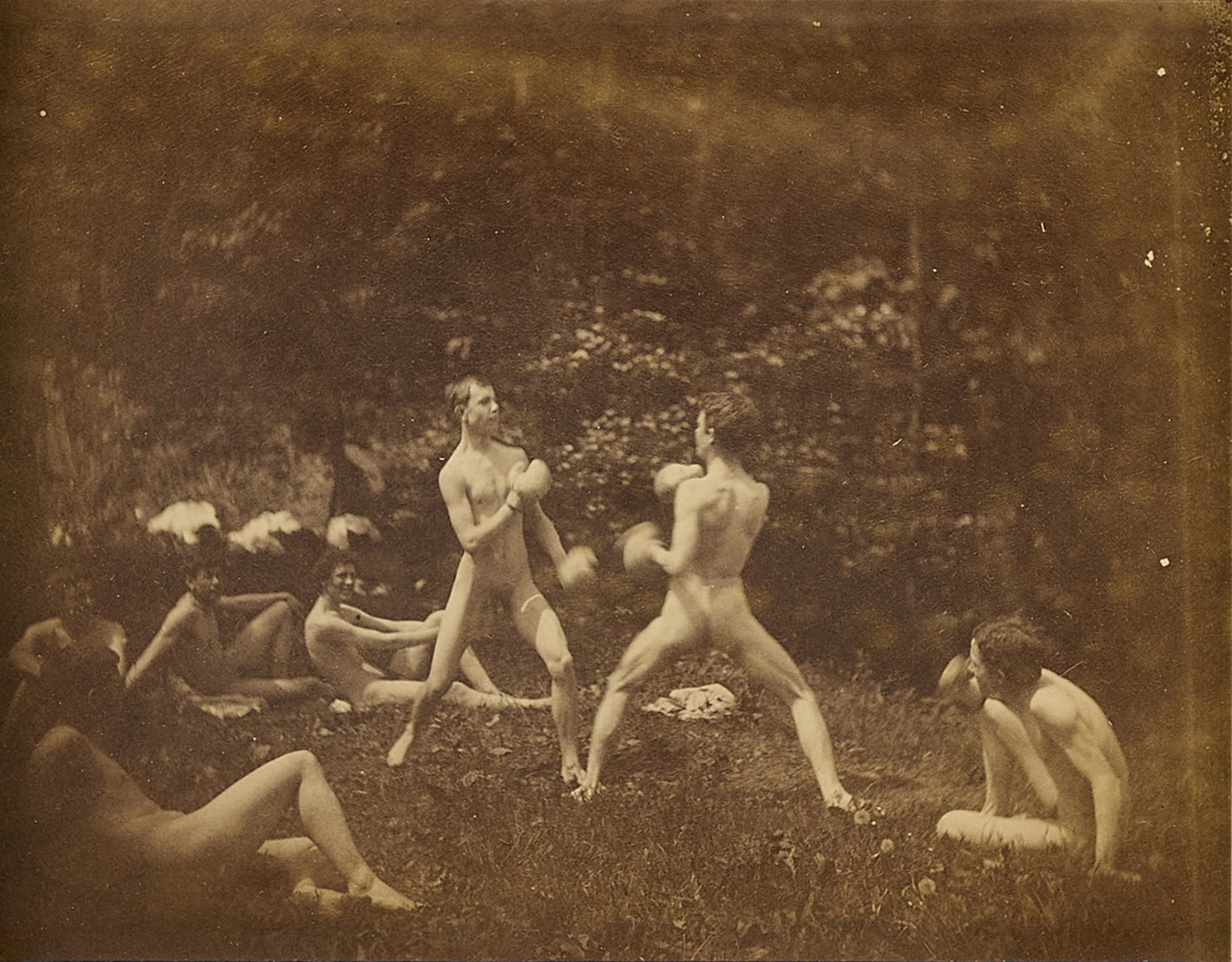 Untitled (Male Nudes Boxing)